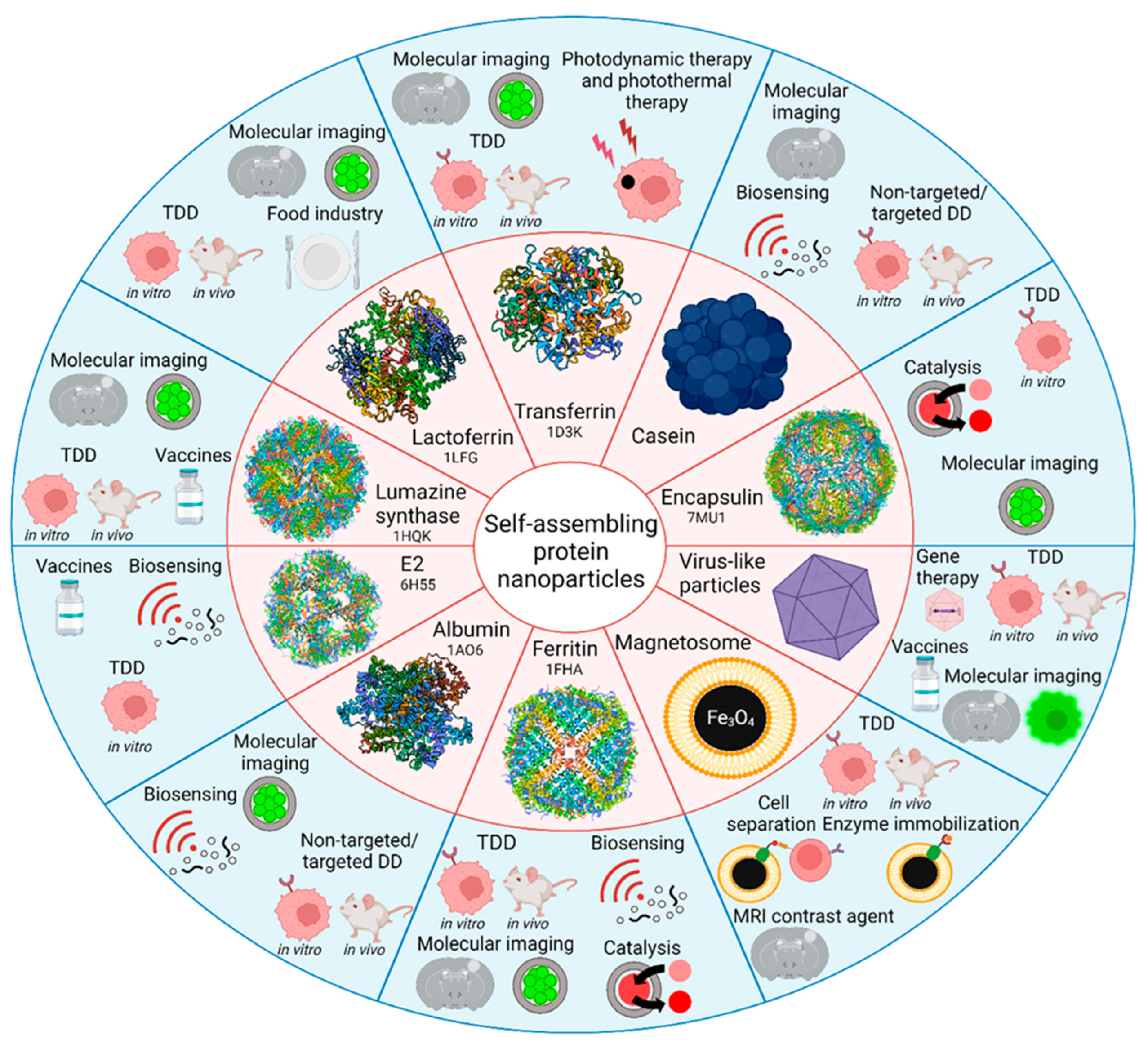 Pharmaceutics 15 00231 g001
