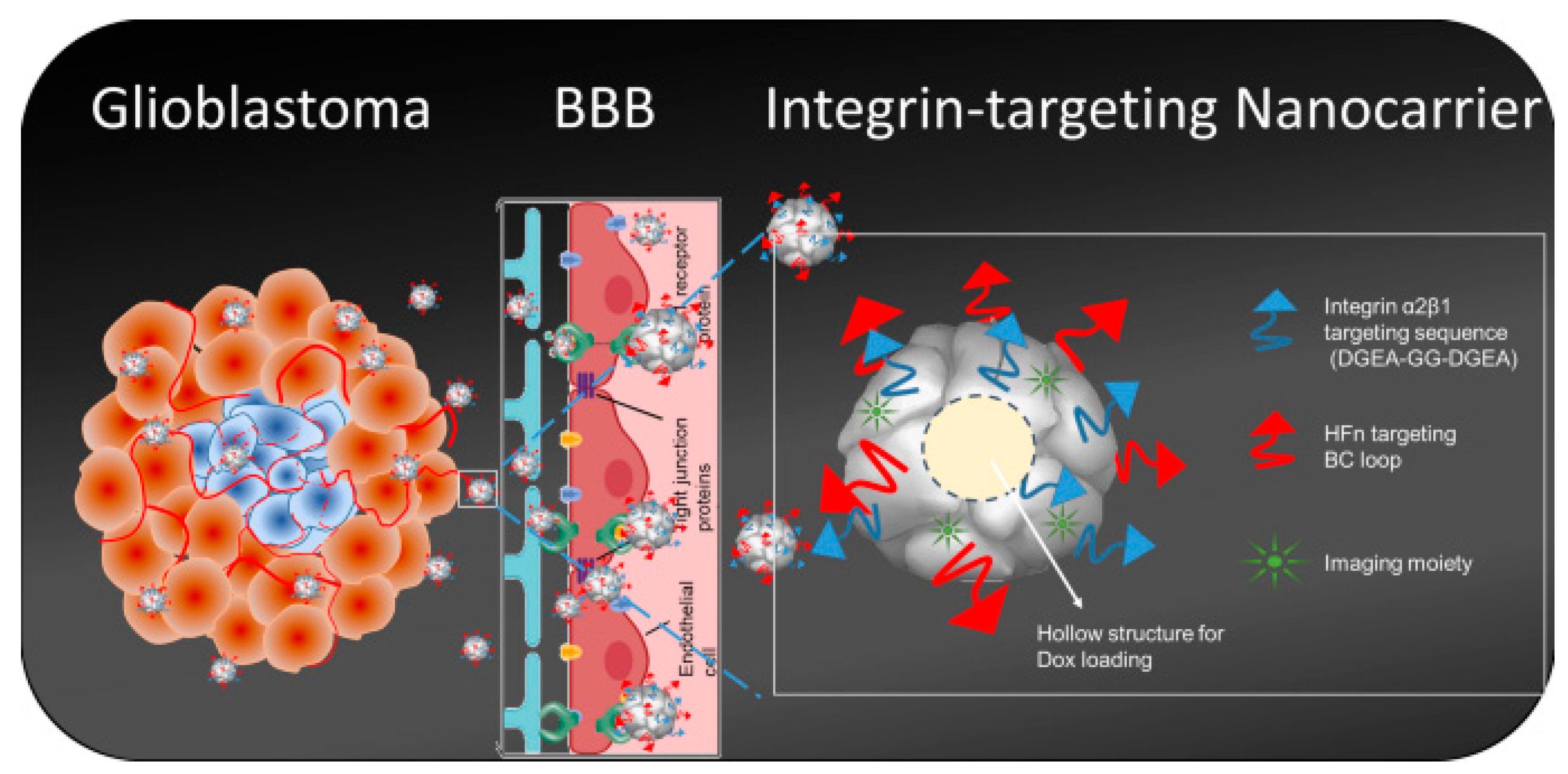 Pharmaceutics 15 00231 g002