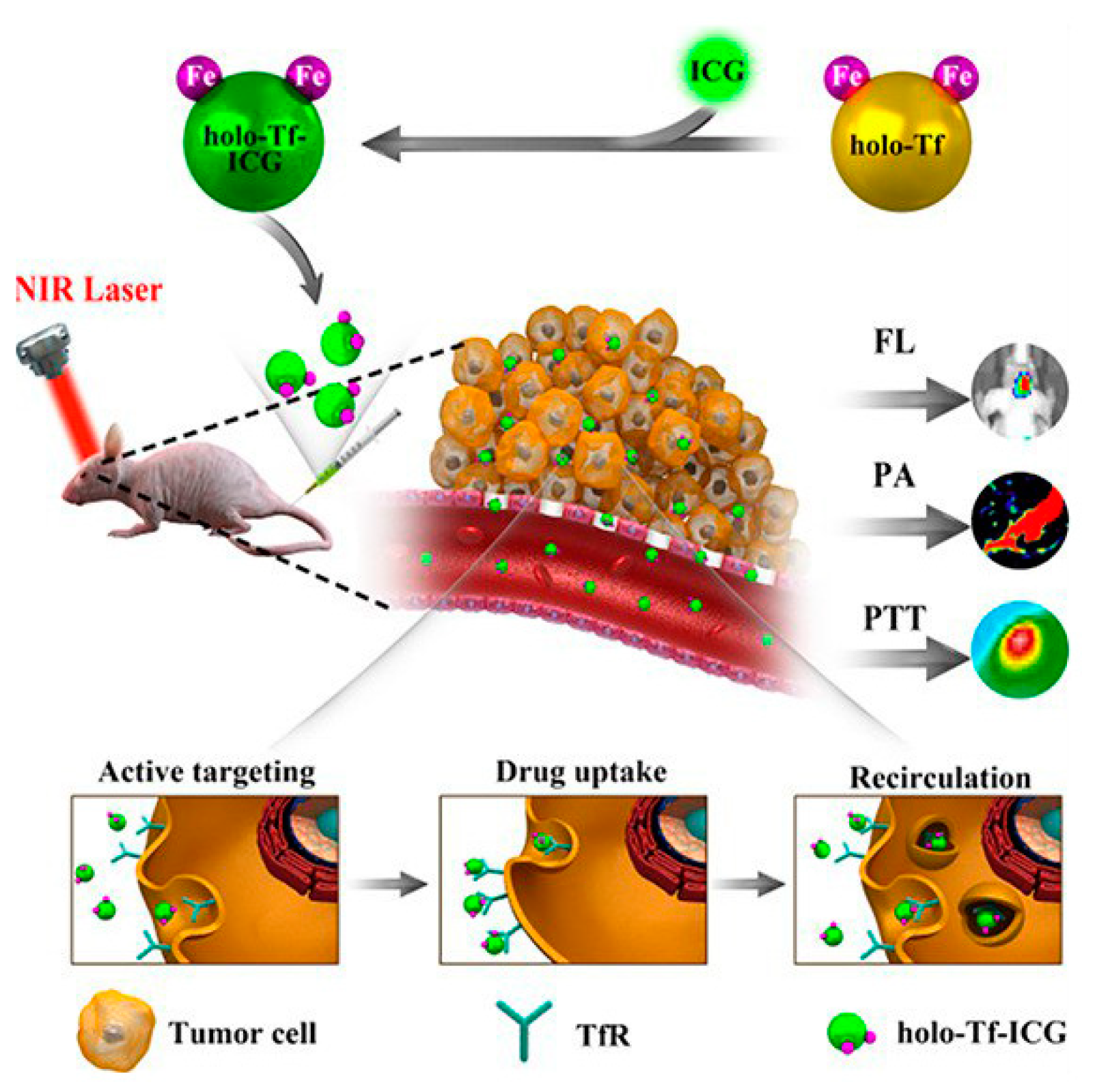 Pharmaceutics 15 00231 g003