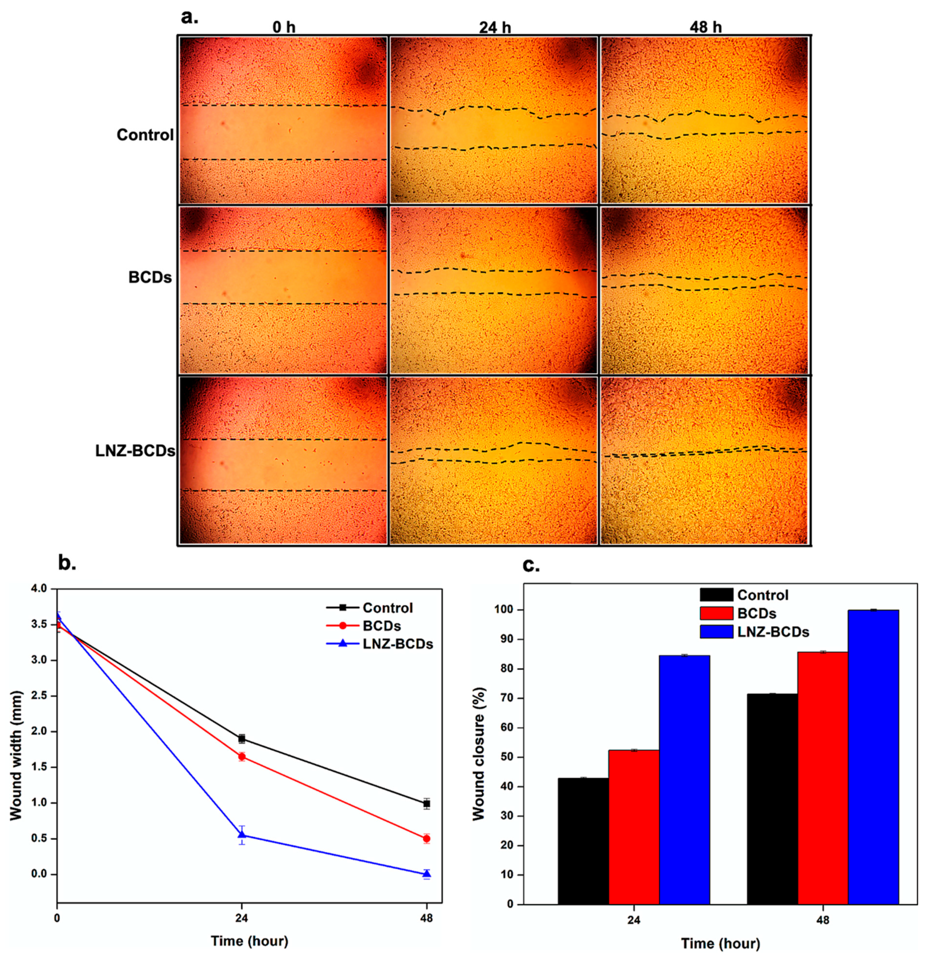 Pharmaceutics 15 00234 g011