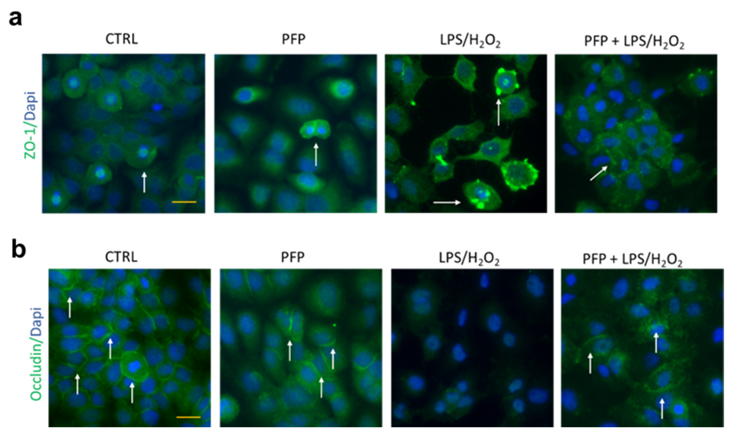 Pharmaceutics 15 00240 g008