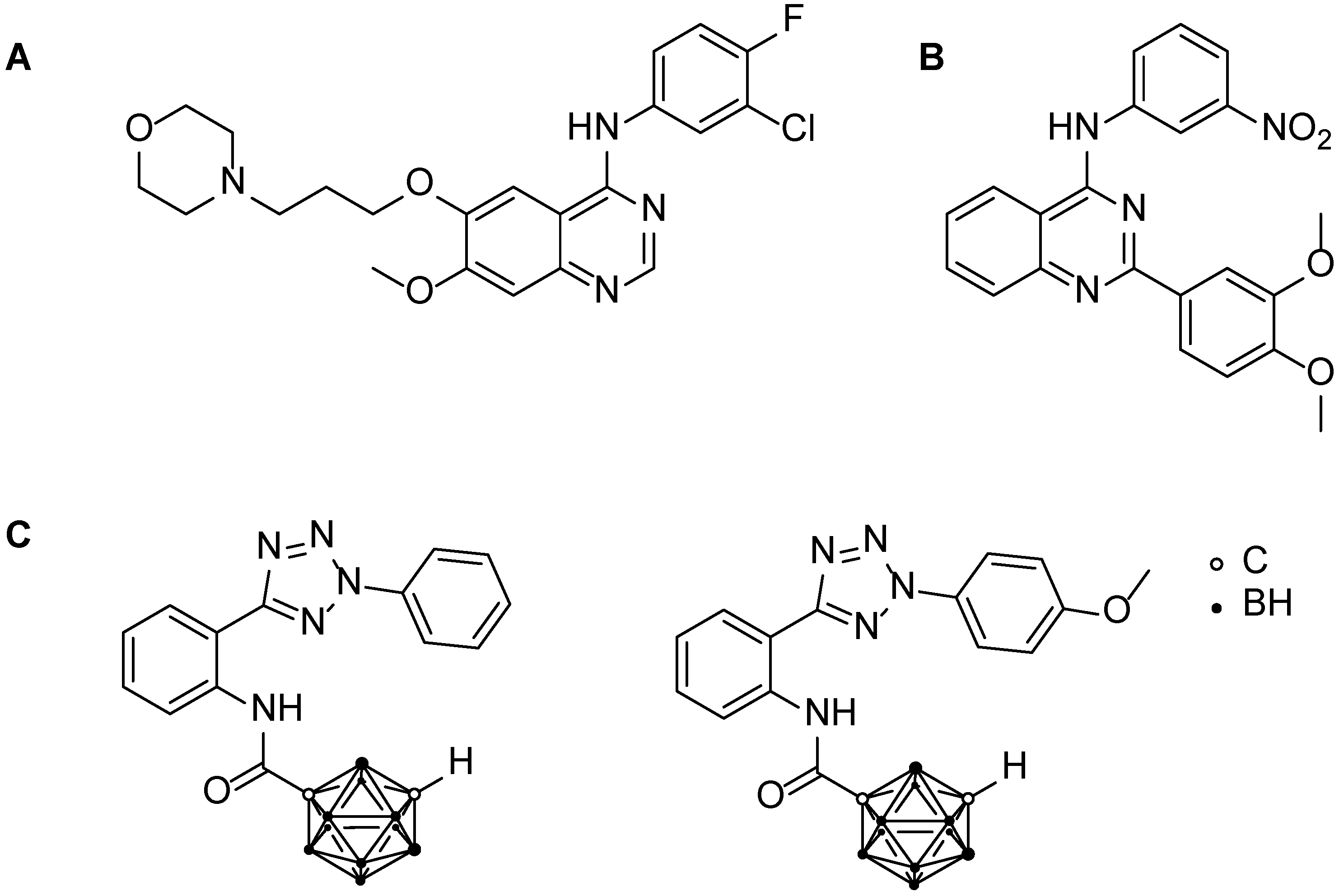 Pharmaceutics 15 00241 g001