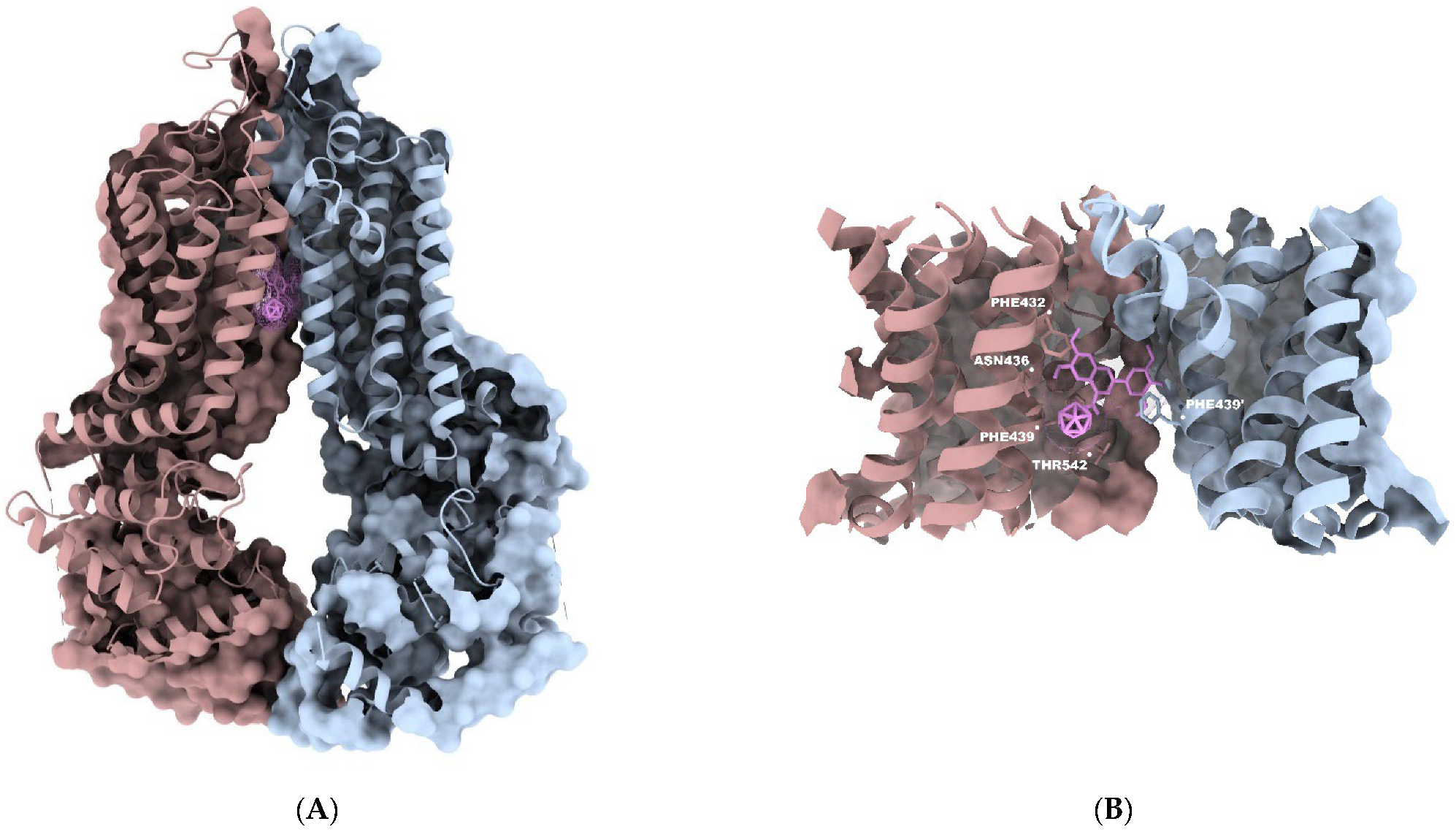 Pharmaceutics 15 00241 g004a