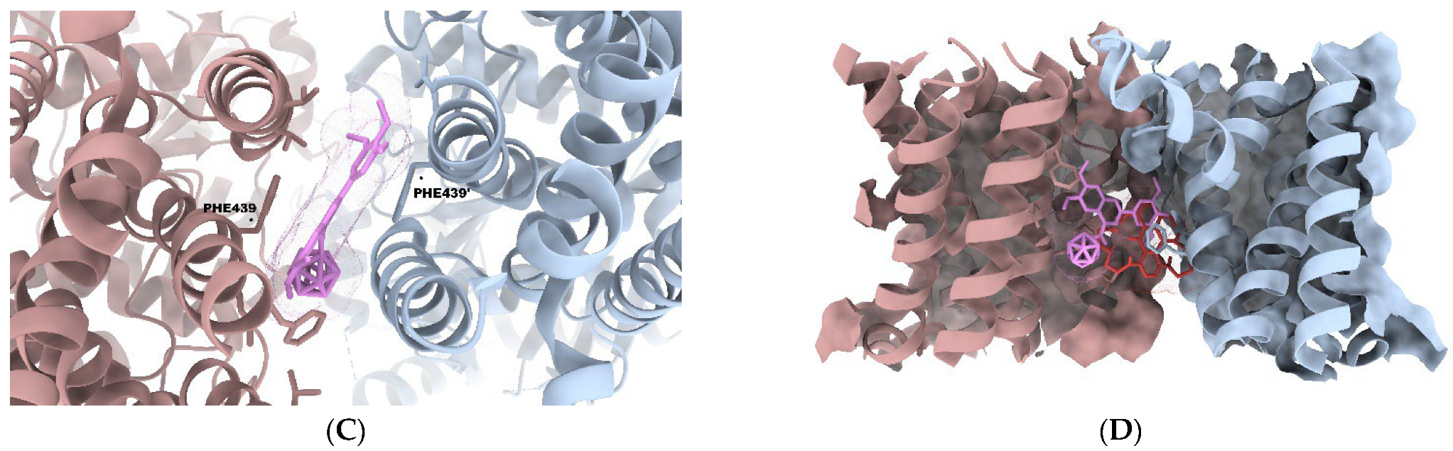 Pharmaceutics 15 00241 g004b