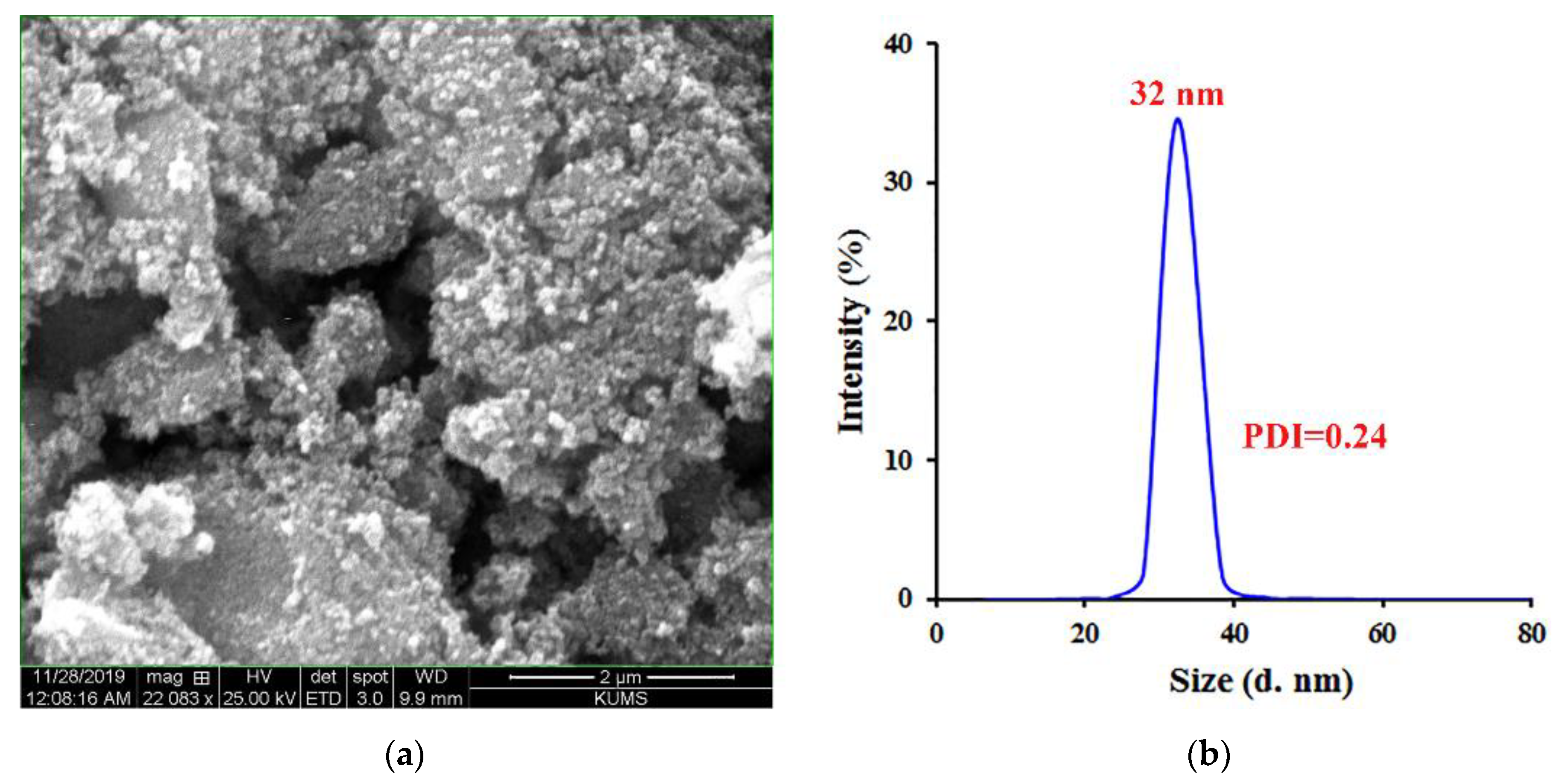 Pharmaceutics 15 00245 g001