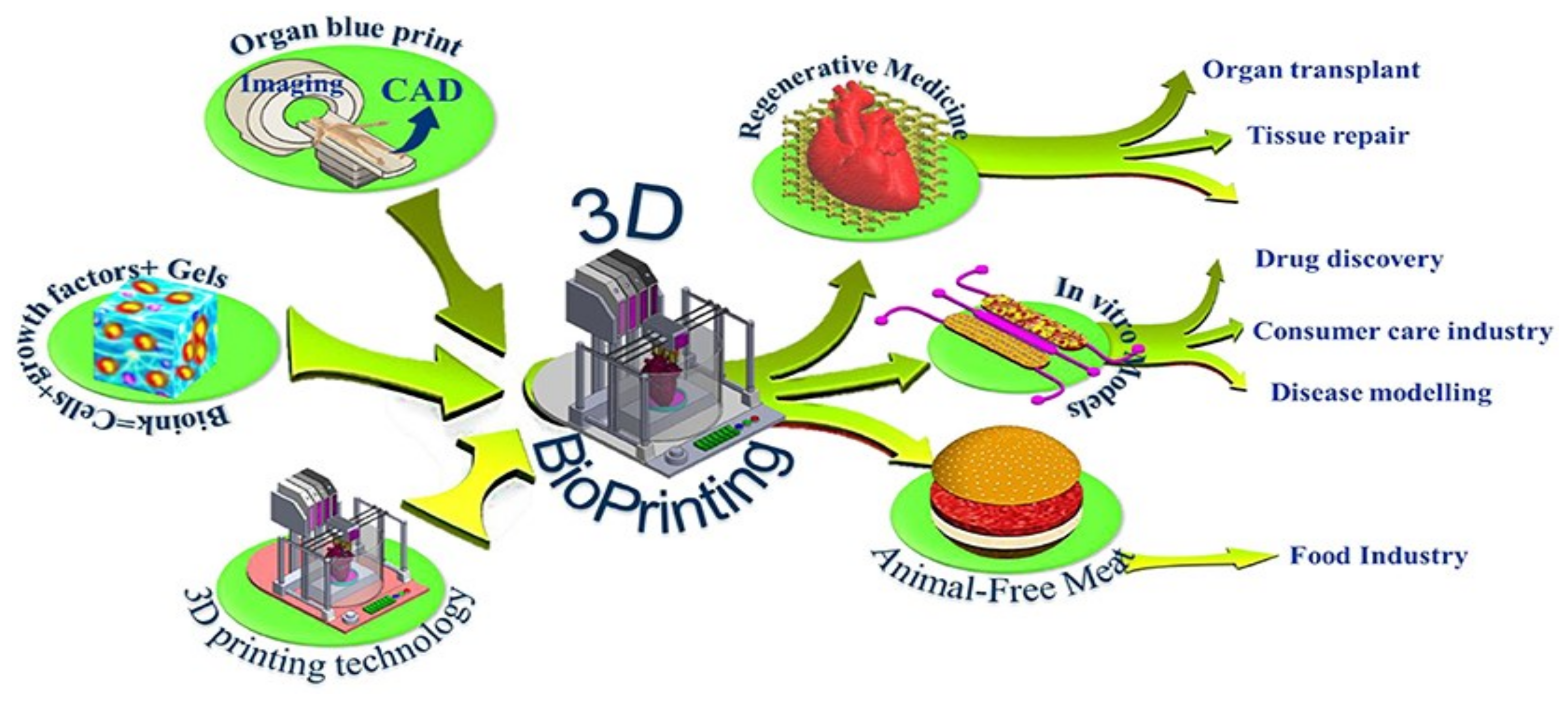 Pharmaceutics 15 00255 g001 Pharmaceutics 15 00255 g001