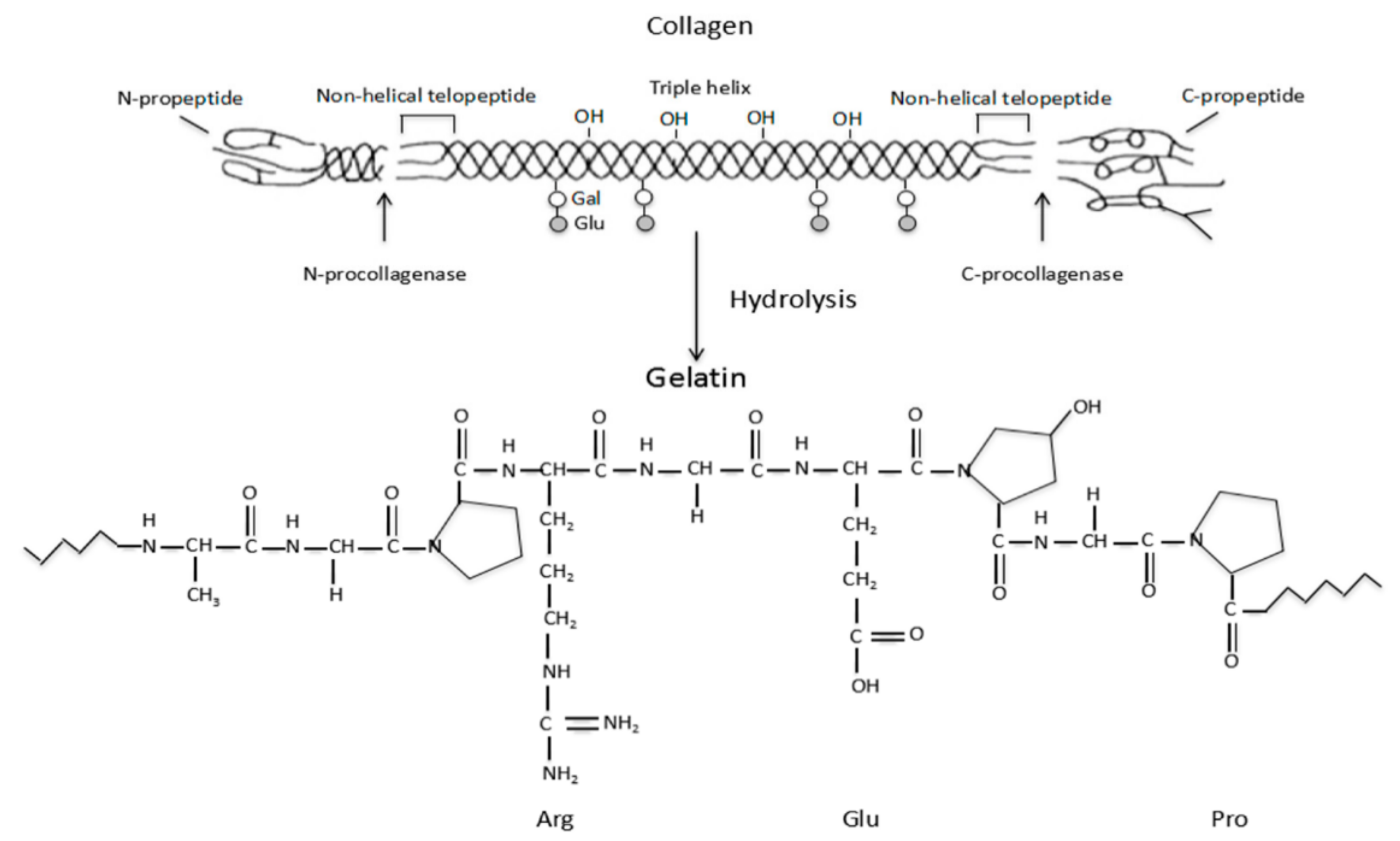 Pharmaceutics 15 00255 g002 Pharmaceutics 15 00255 g002