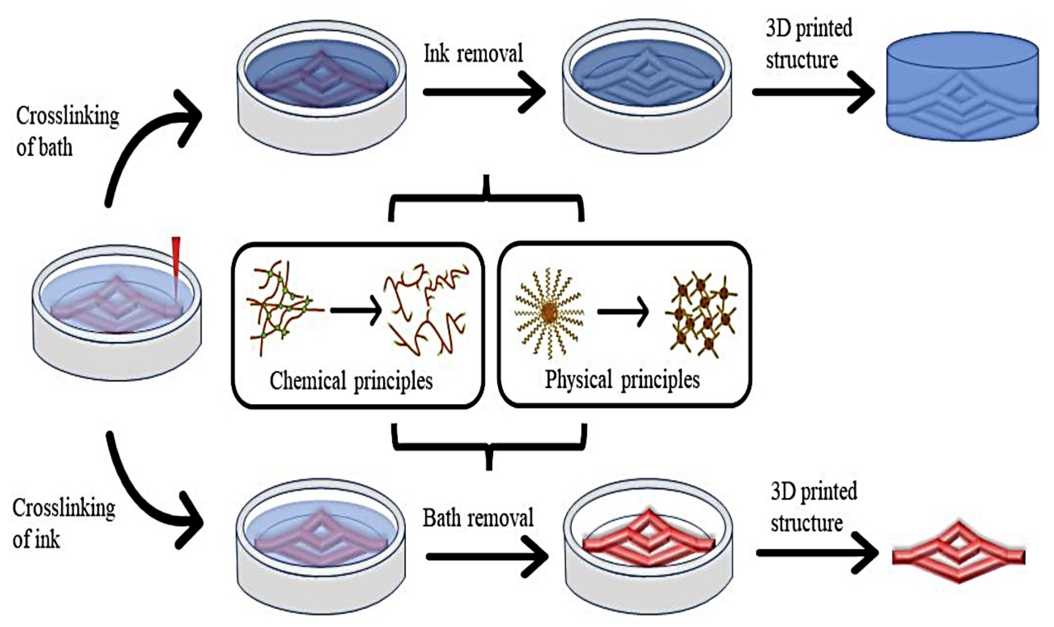 Pharmaceutics 15 00255 g004 Pharmaceutics 15 00255 g004