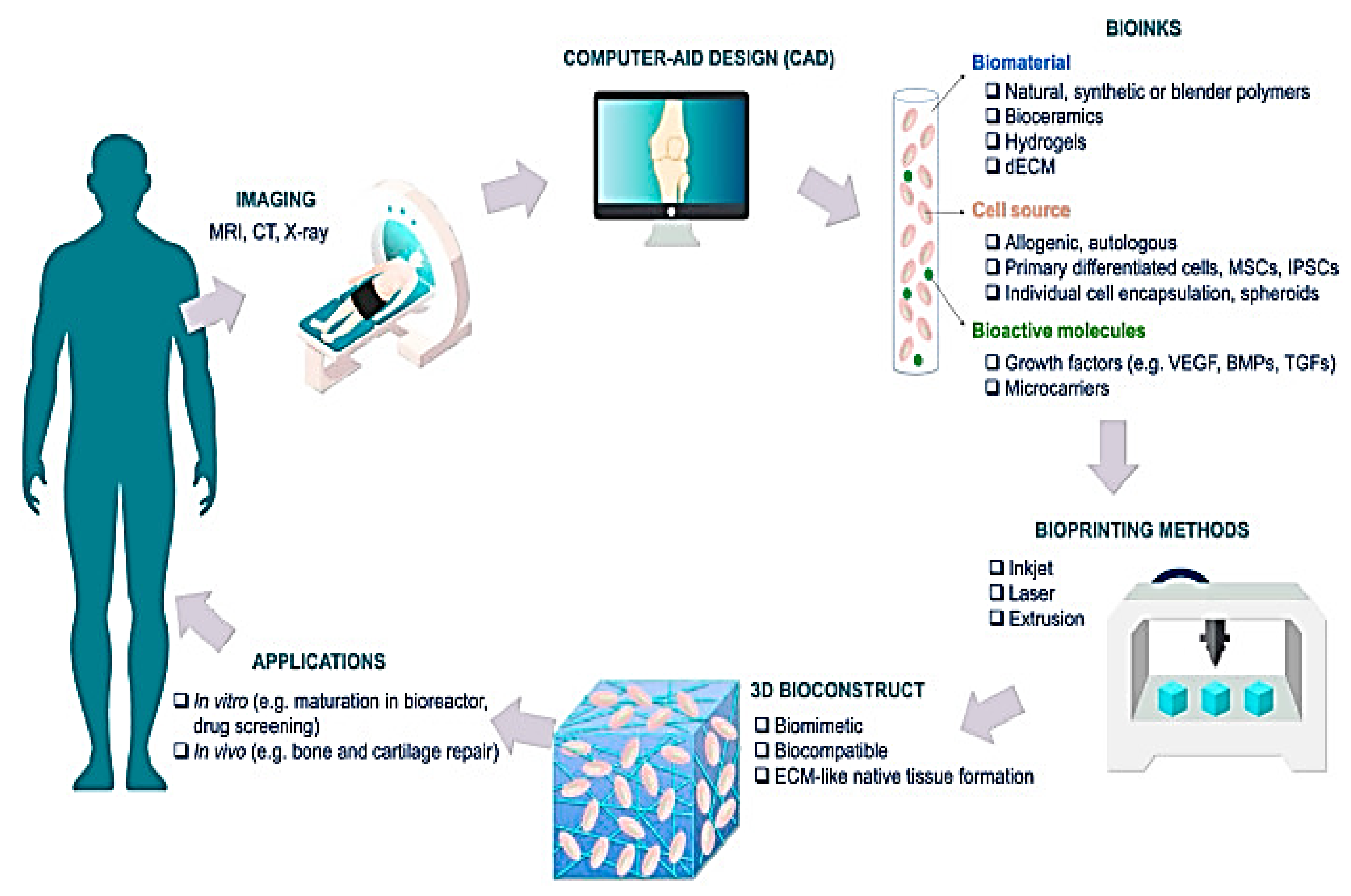 Pharmaceutics 15 00255 g007 Pharmaceutics 15 00255 g007