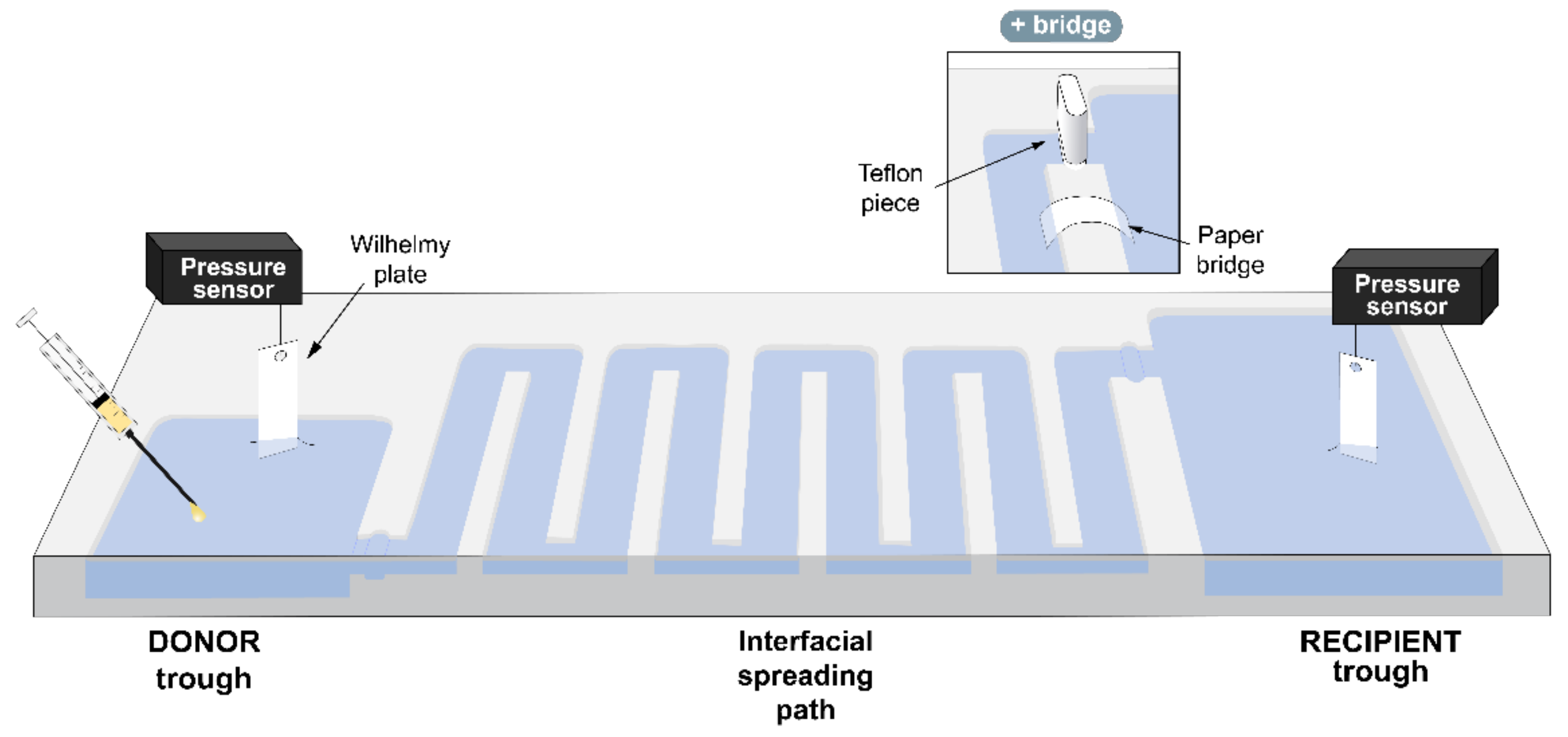 Pharmaceutics 15 00256 g001 Pharmaceutics 15 00256 g001