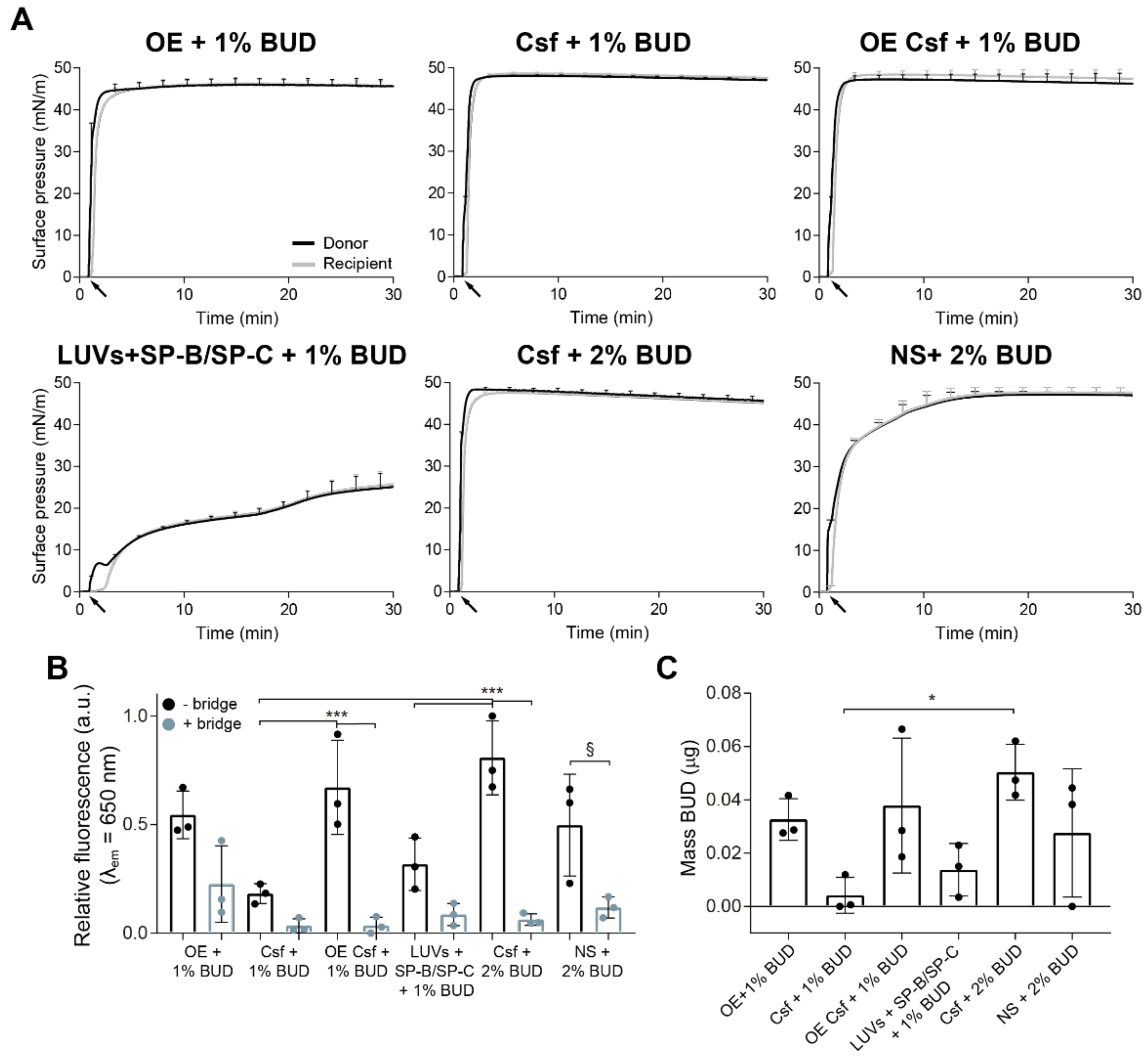 Pharmaceutics 15 00256 g005 Pharmaceutics 15 00256 g005
