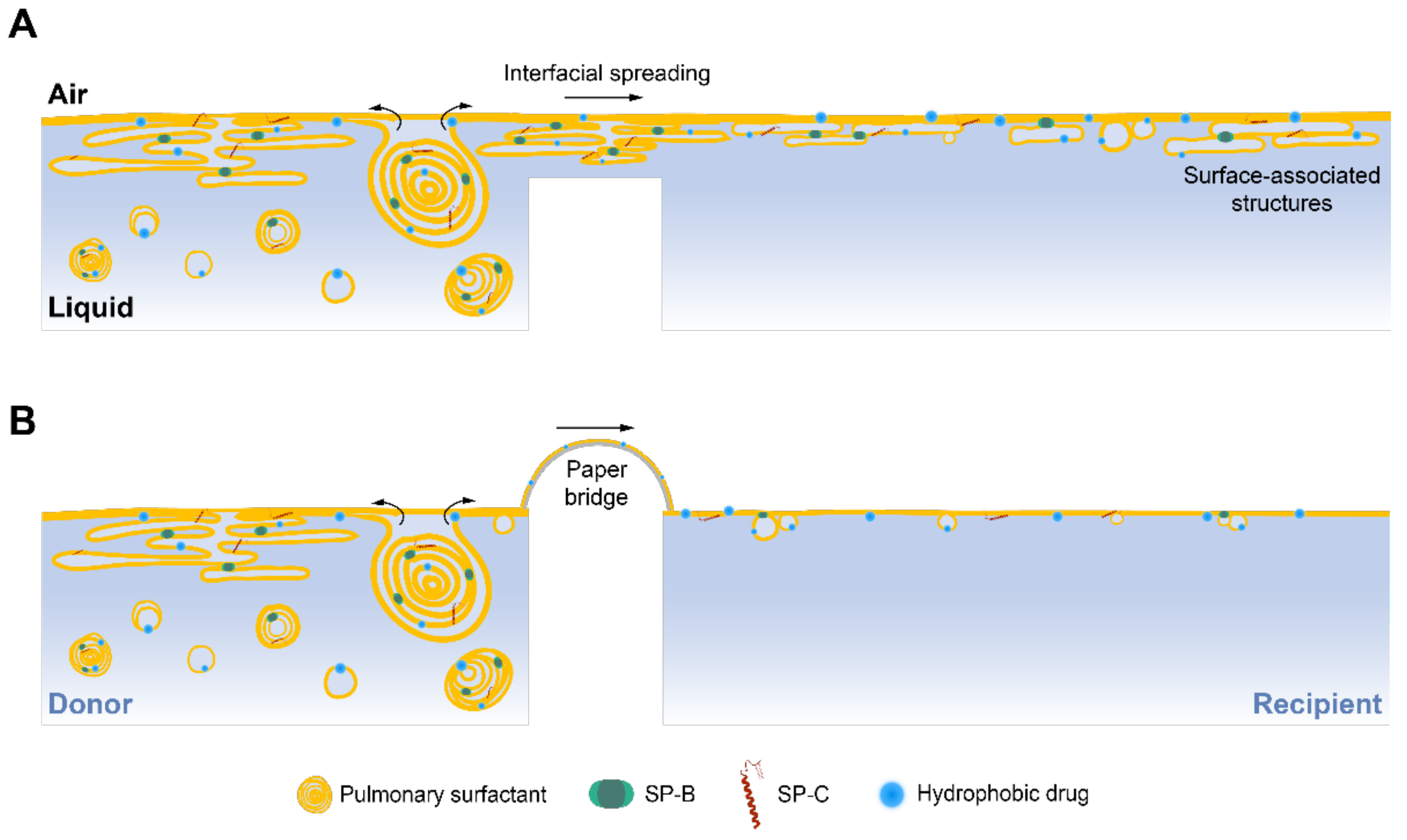 Pharmaceutics 15 00256 g007 Pharmaceutics 15 00256 g007