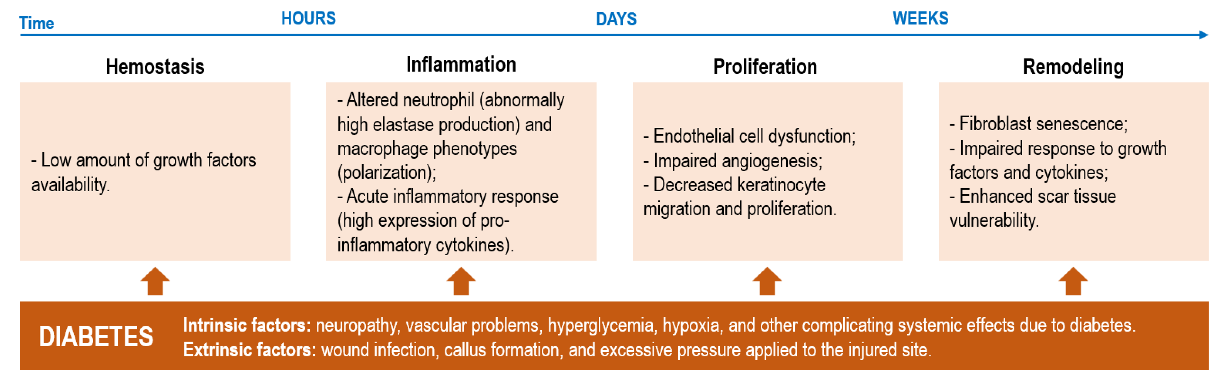 Pharmaceutics 15 00258 g001
