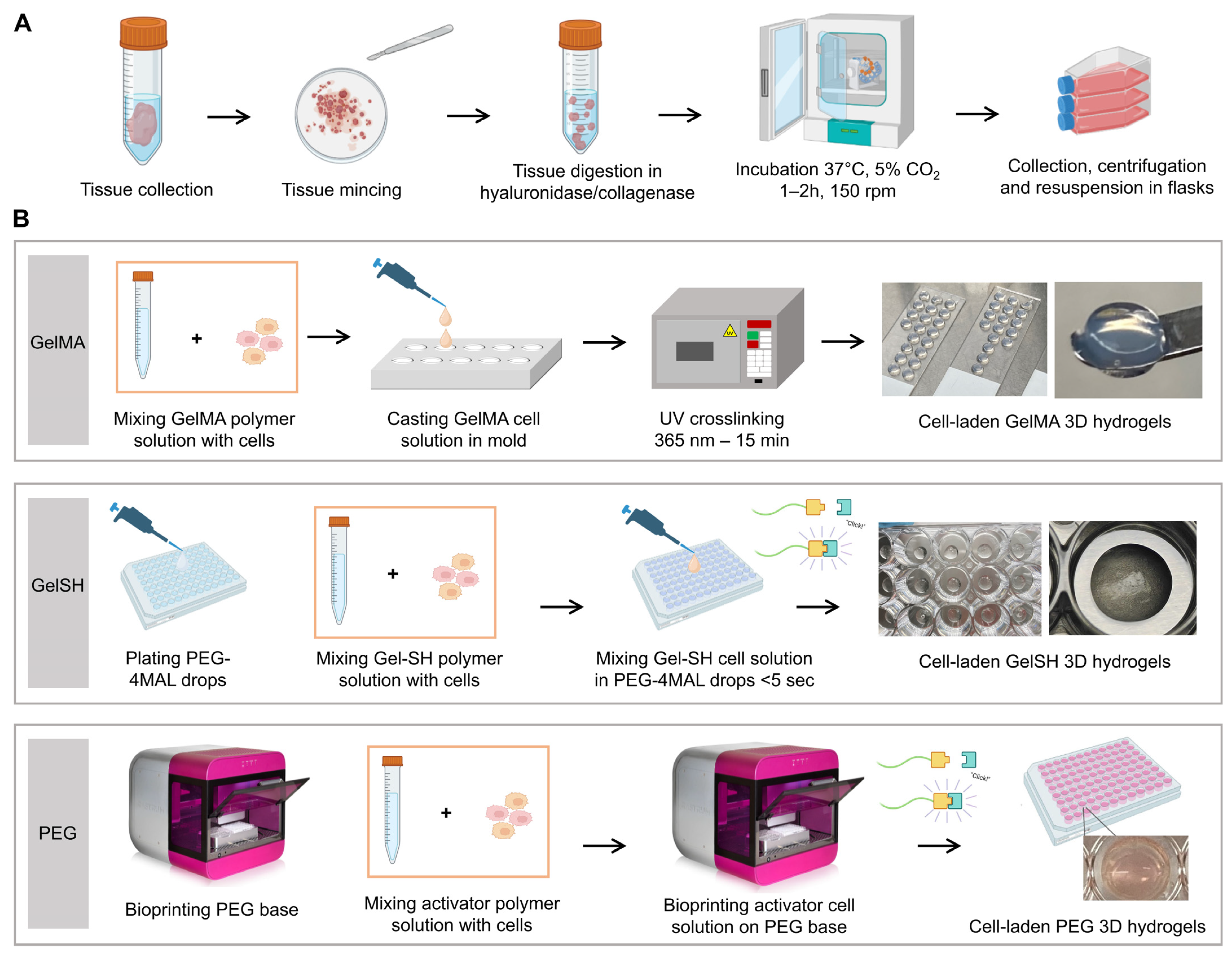 Pharmaceutics 15 00261 g001