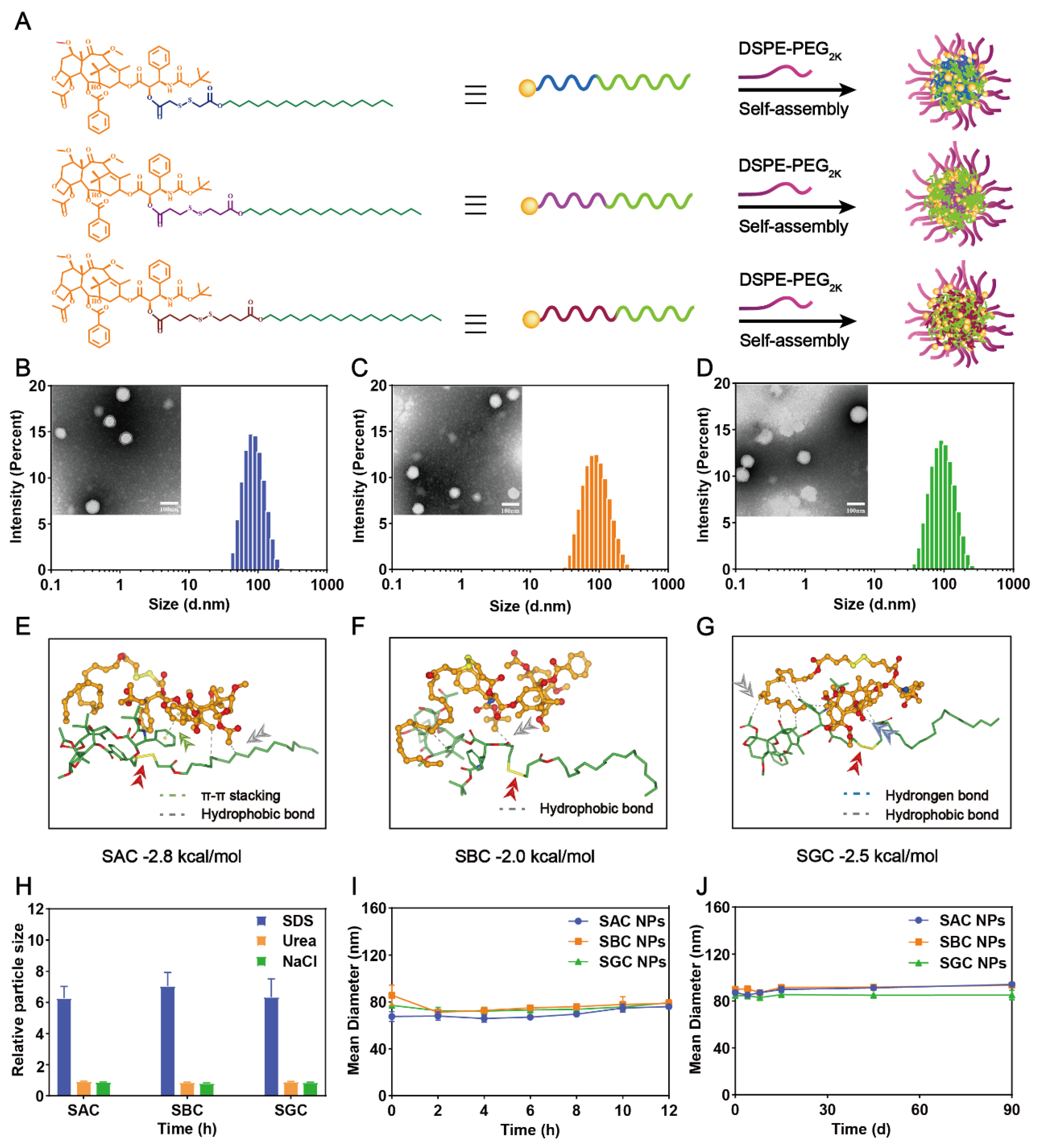 Pharmaceutics 15 00262 g001