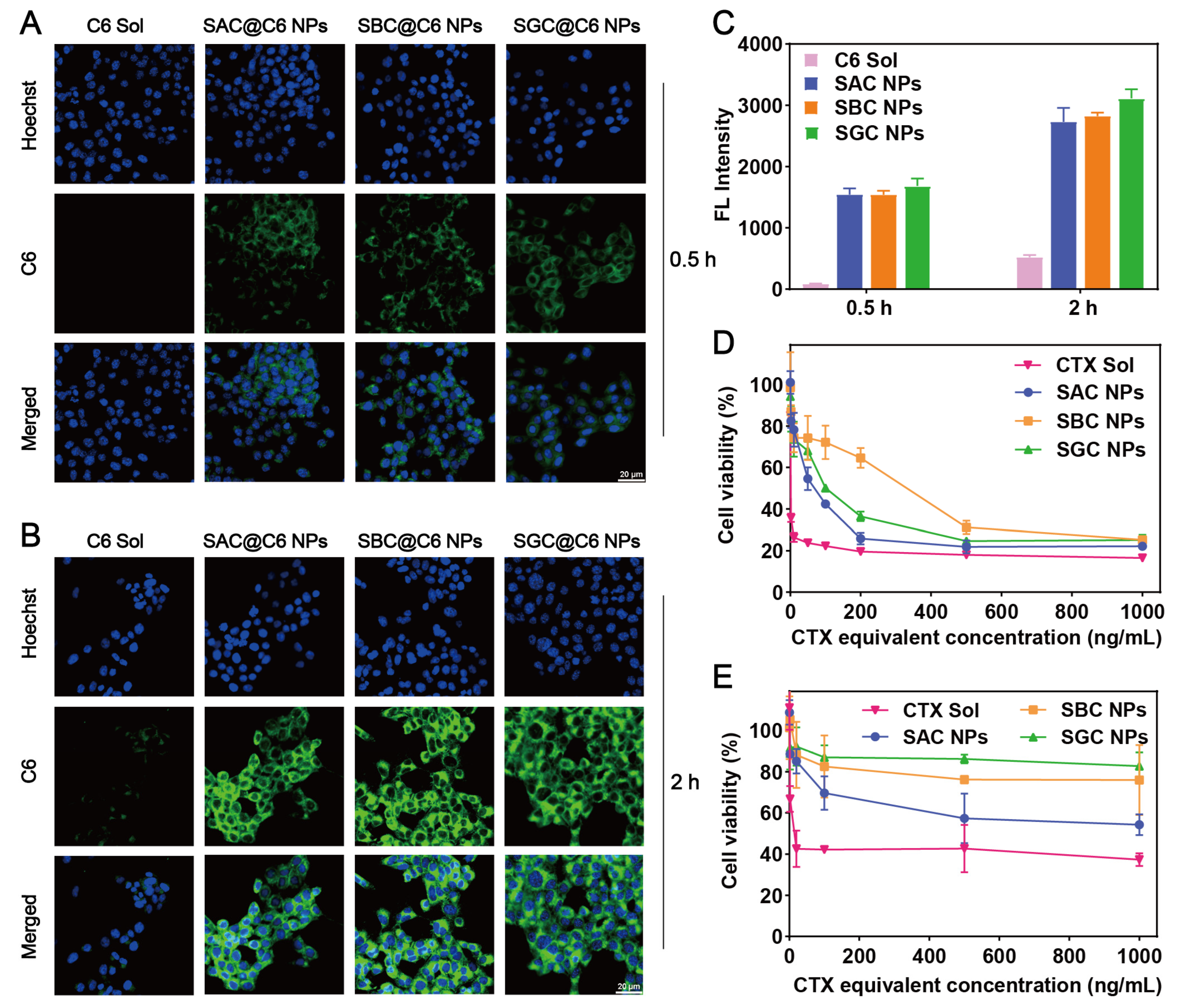 Pharmaceutics 15 00262 g003