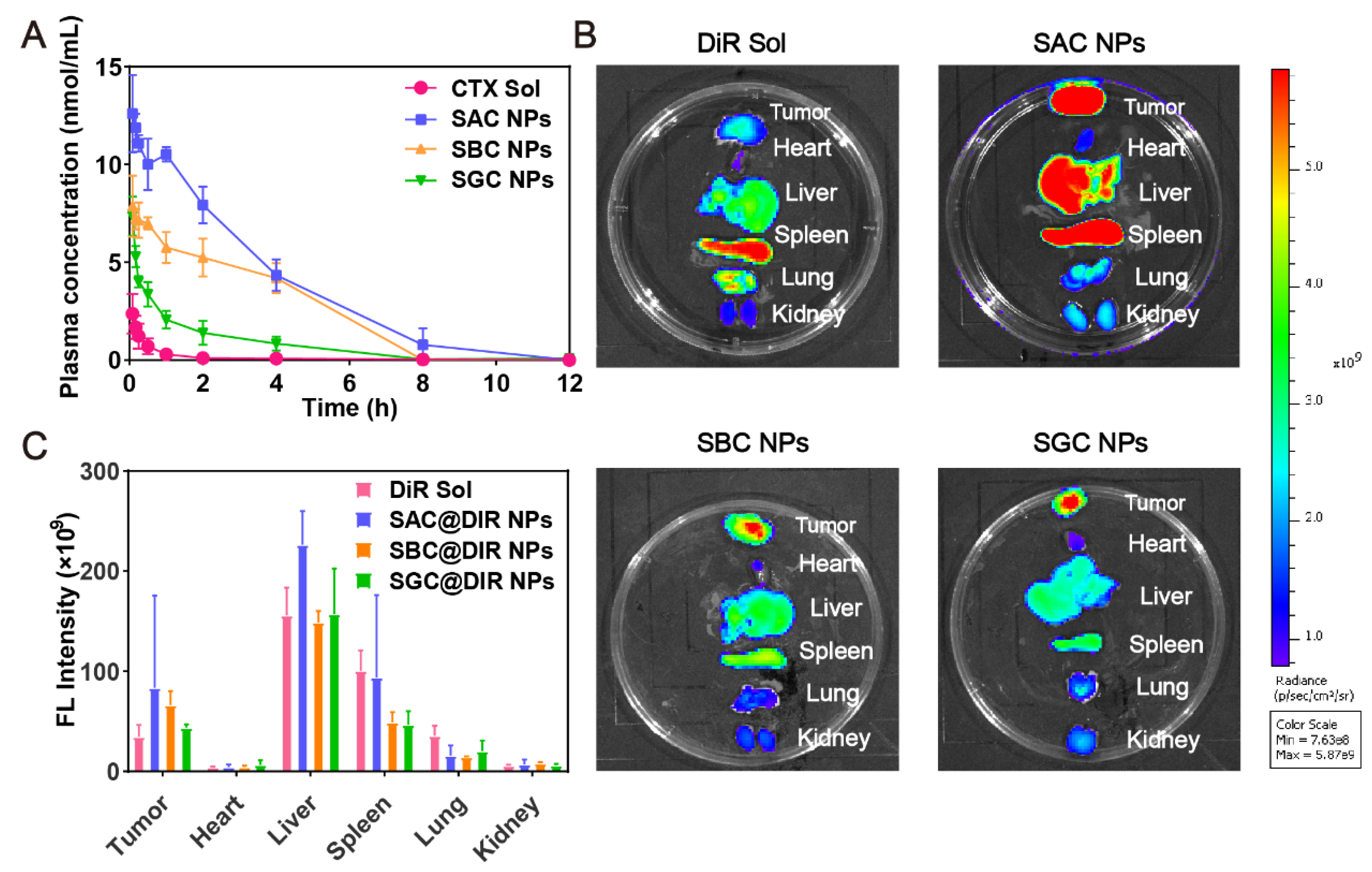 Pharmaceutics 15 00262 g004