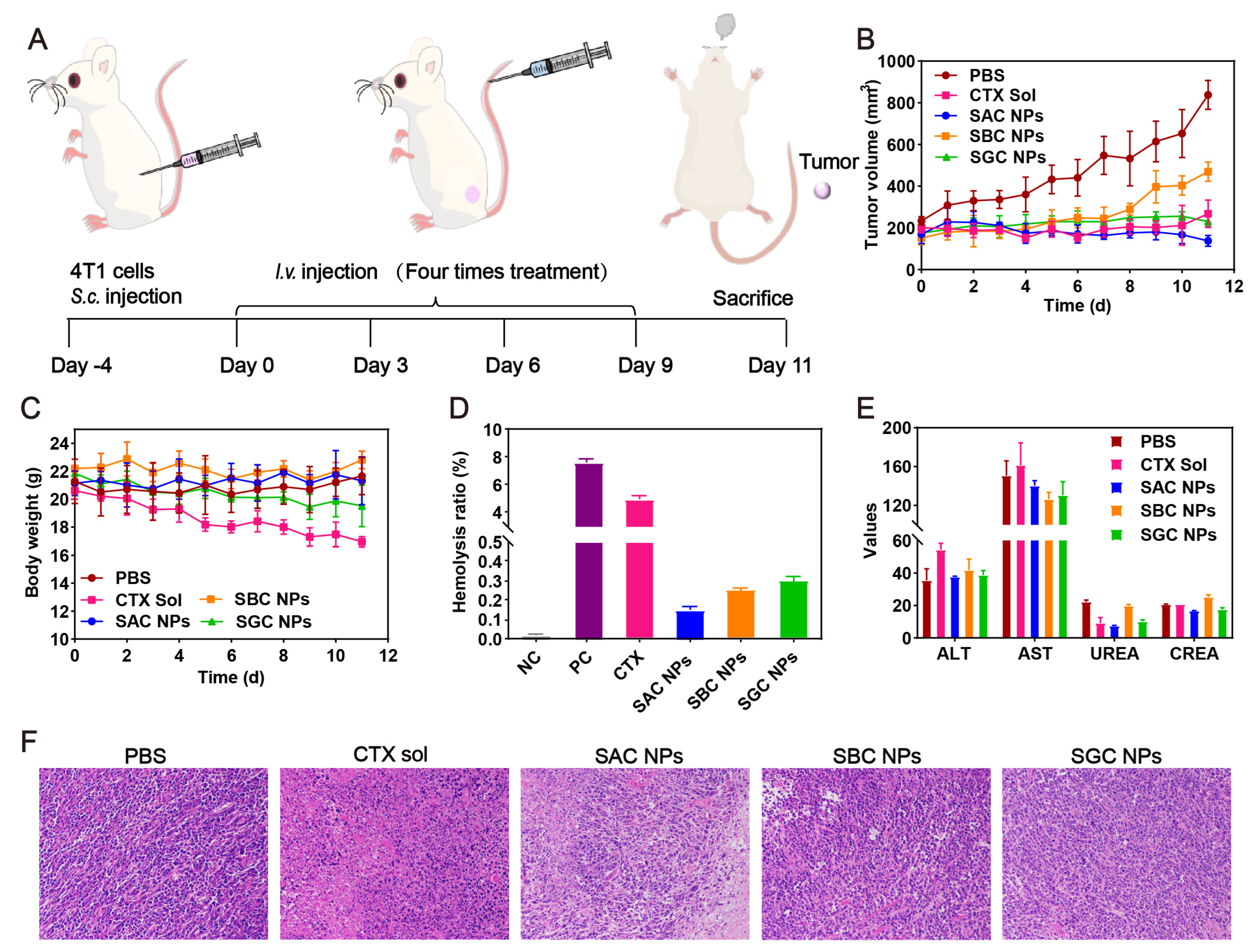 Pharmaceutics 15 00262 g005