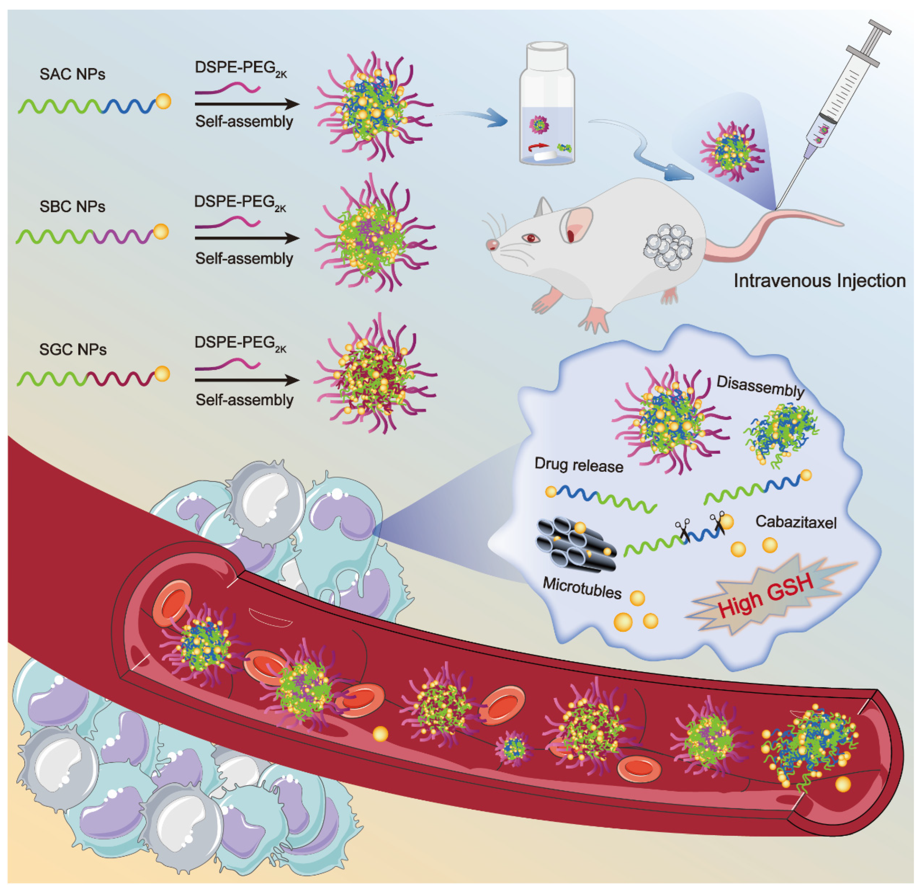 Pharmaceutics 15 00262 sch001