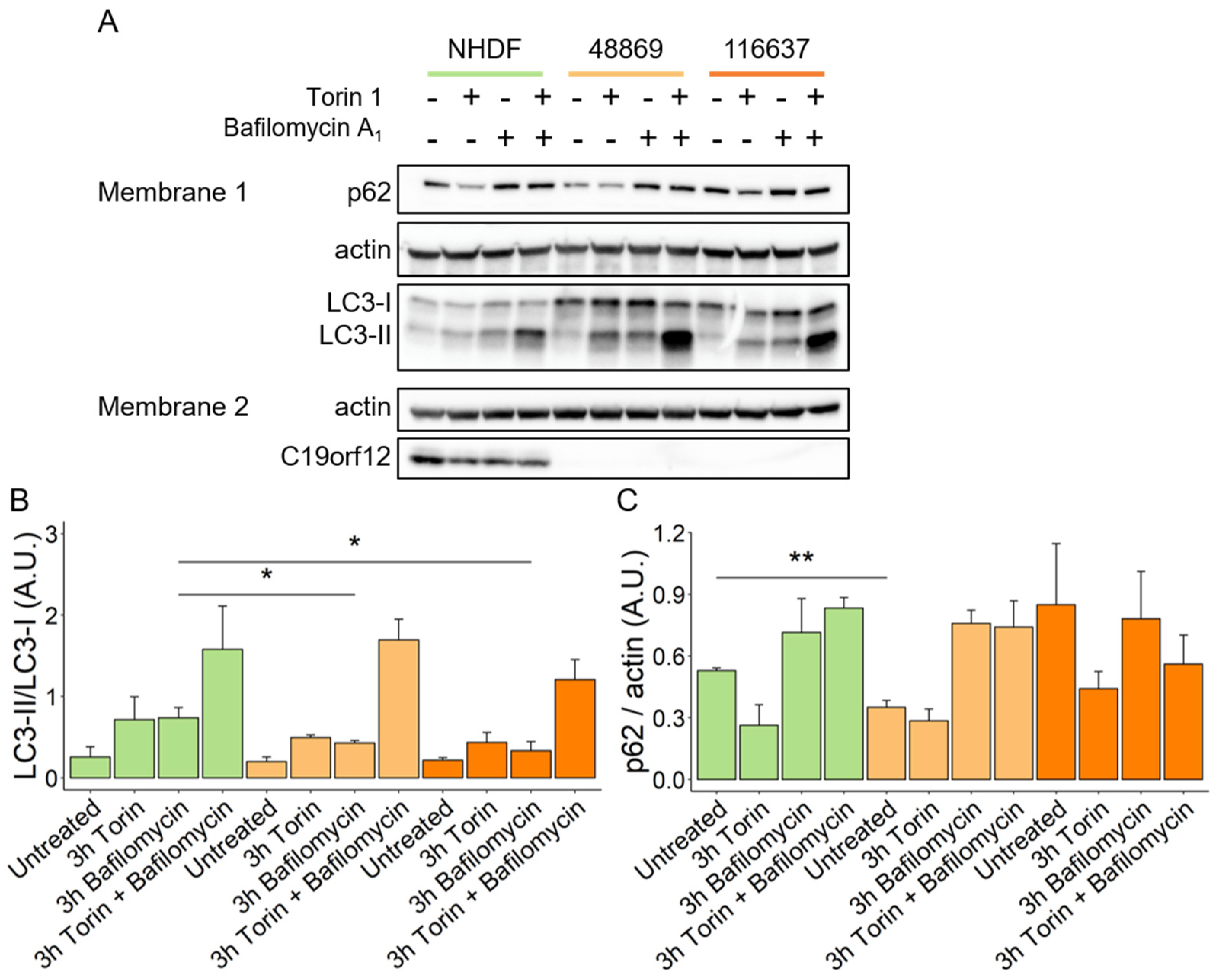Pharmaceutics 15 00267 g002