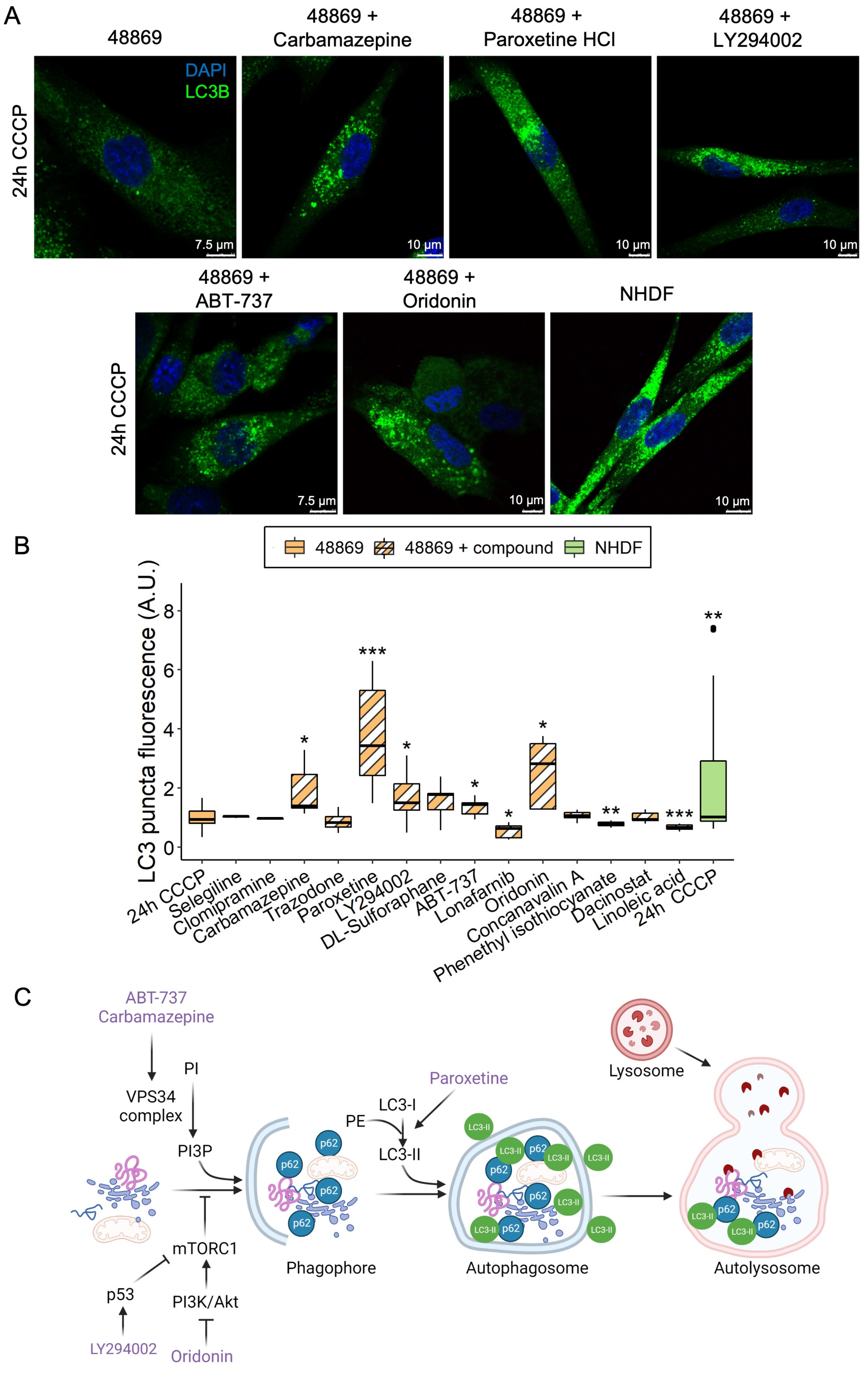 Pharmaceutics 15 00267 g005