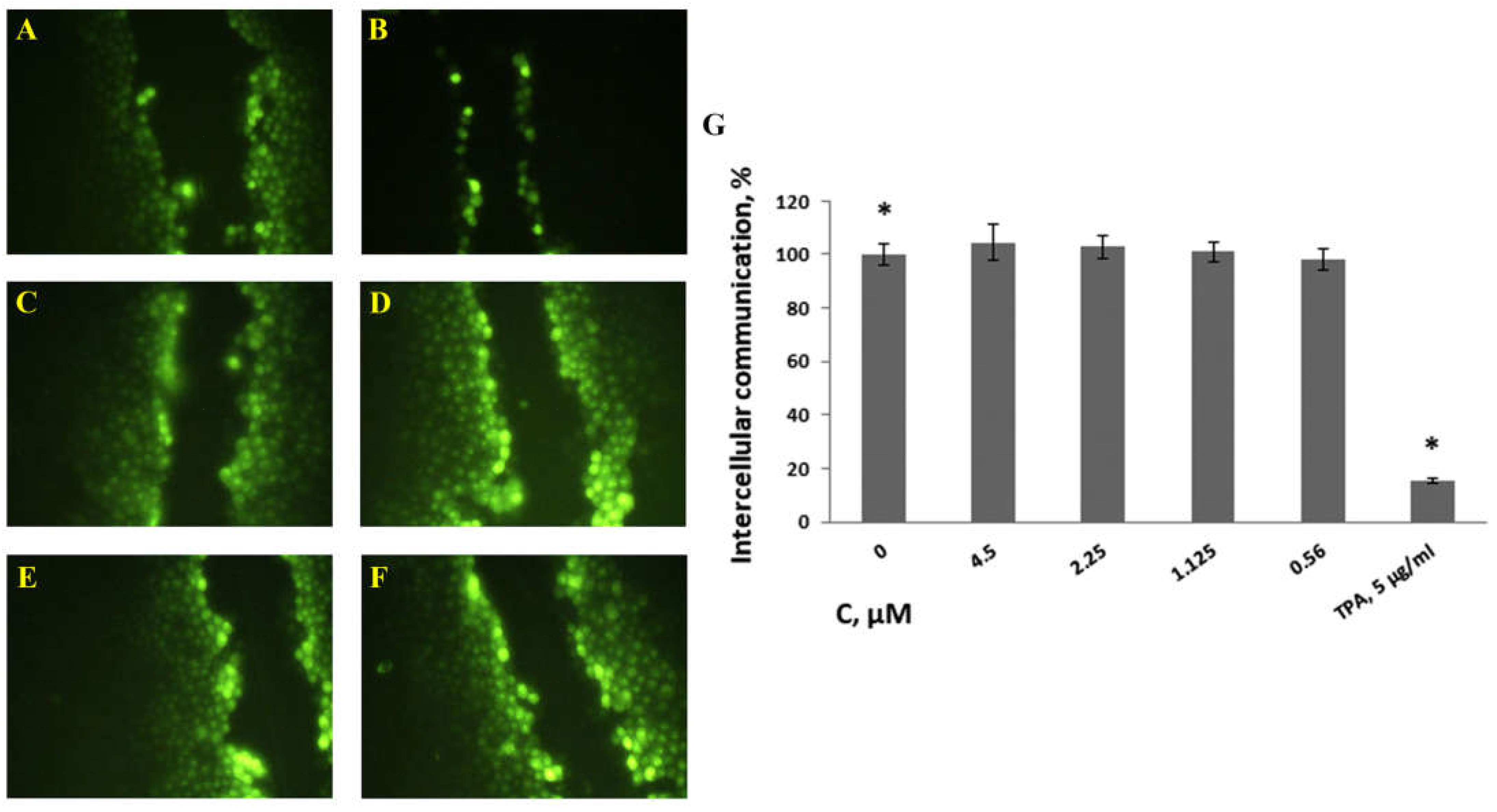Pharmaceutics 15 00269 g006