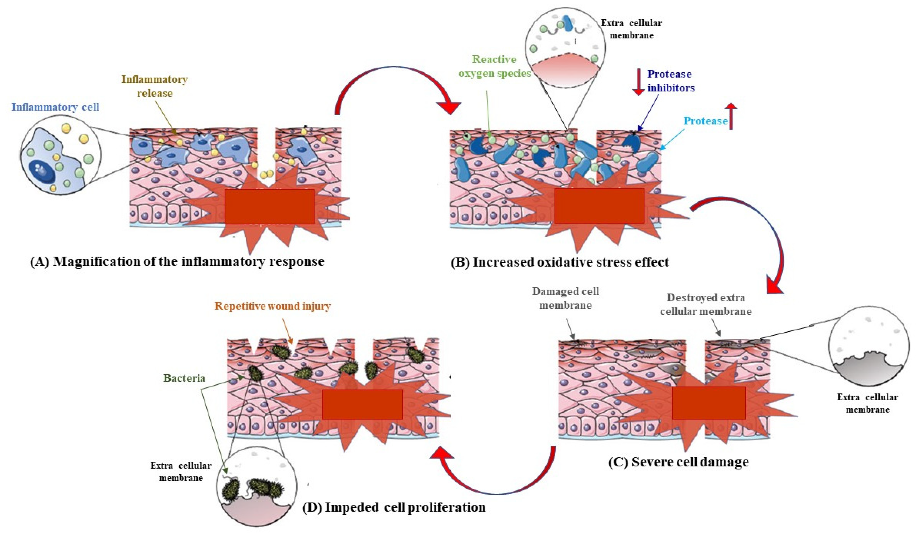 Pharmaceutics 15 00271 g001 Pharmaceutics 15 00271 g001