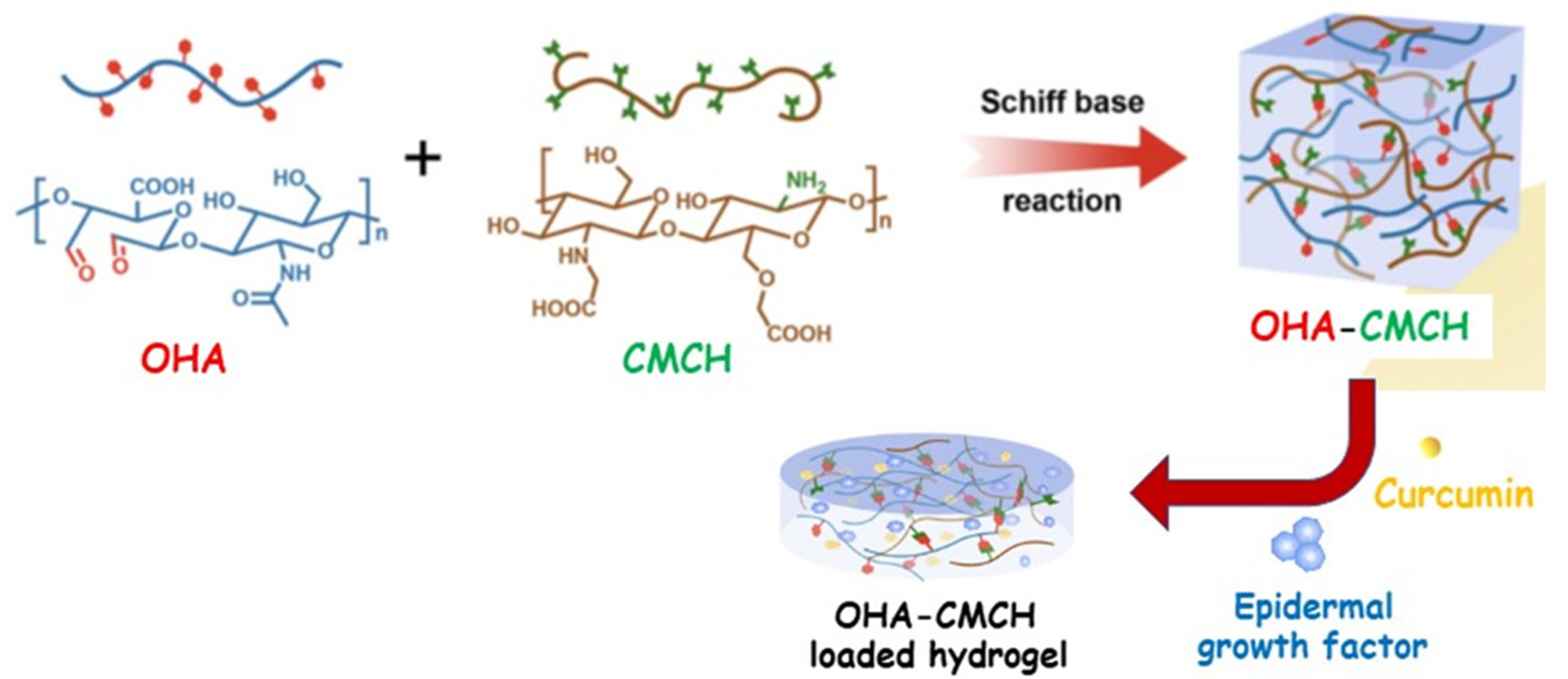 Pharmaceutics 15 00271 g005 Pharmaceutics 15 00271 g005