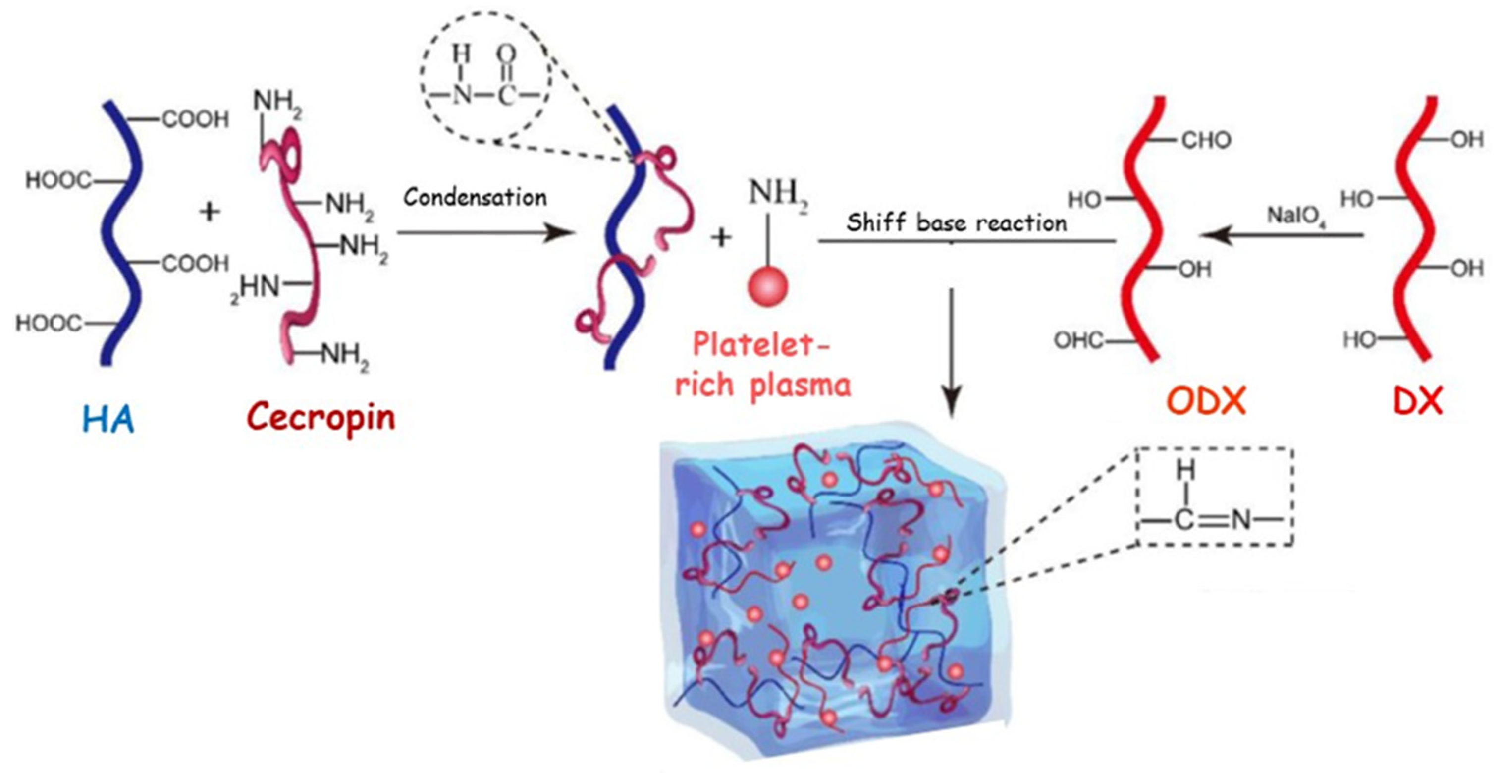 Pharmaceutics 15 00271 g006 Pharmaceutics 15 00271 g006