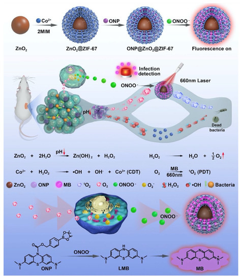 Pharmaceutics 15 00274 g016