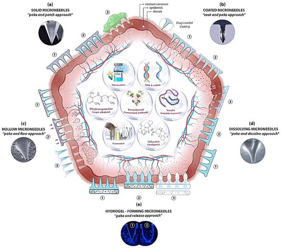 Pharmaceutics 15 00277 g002