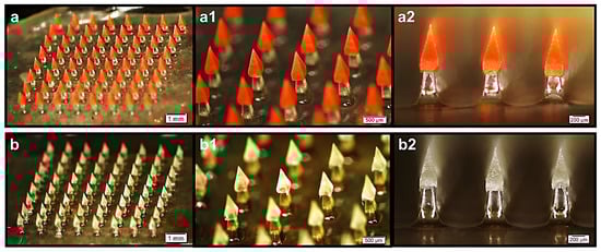 Pharmaceutics 15 00277 g003