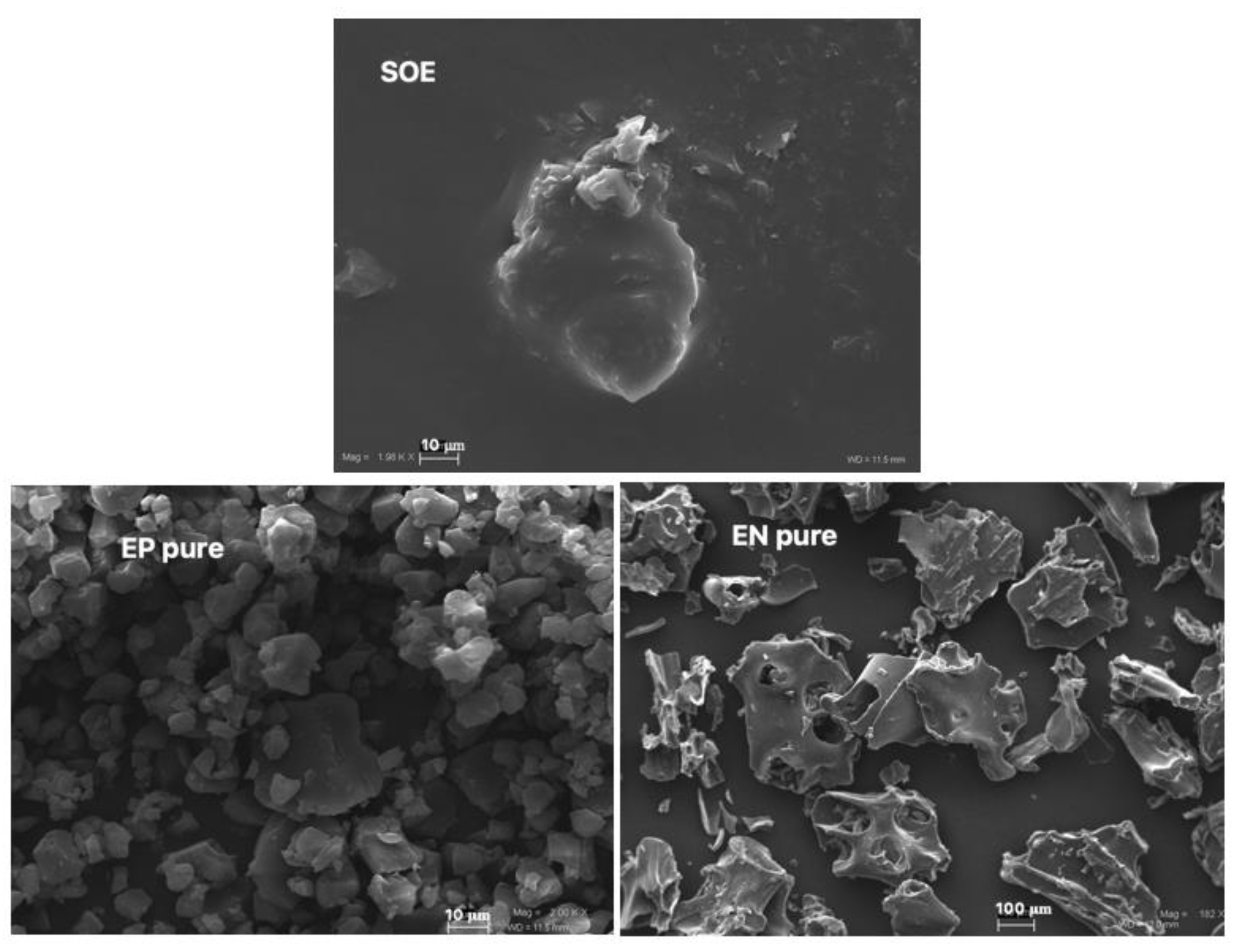 Pharmaceutics 15 00295 g001