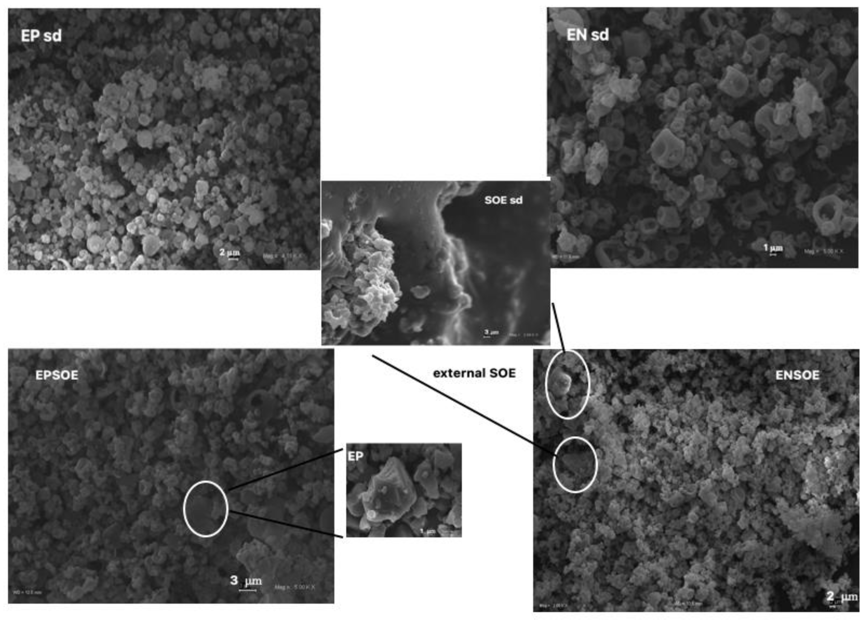 Pharmaceutics 15 00295 g002