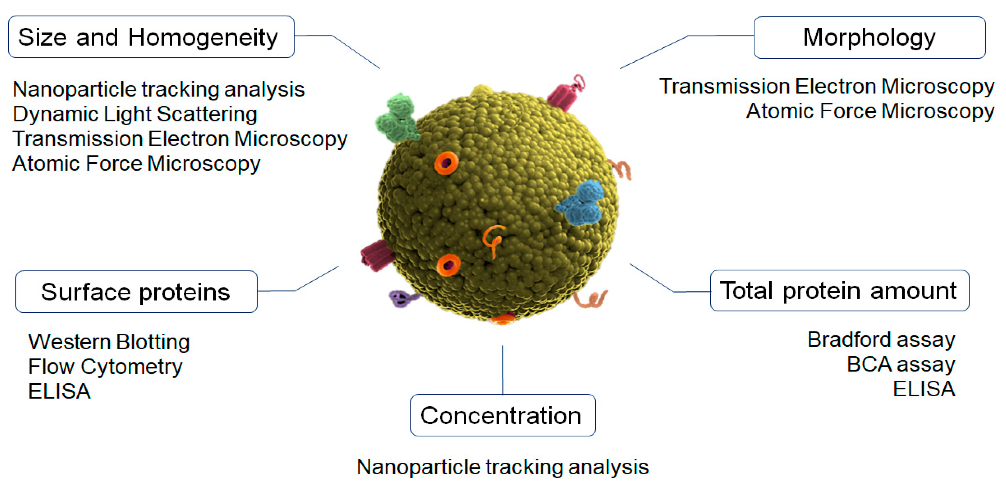 Pharmaceutics 15 00298 g001