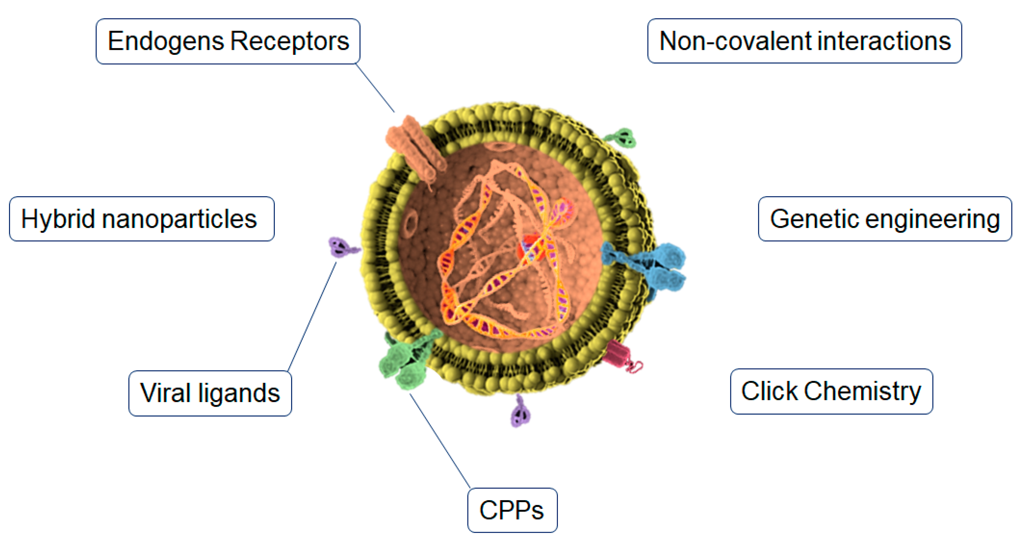 Pharmaceutics 15 00298 g002