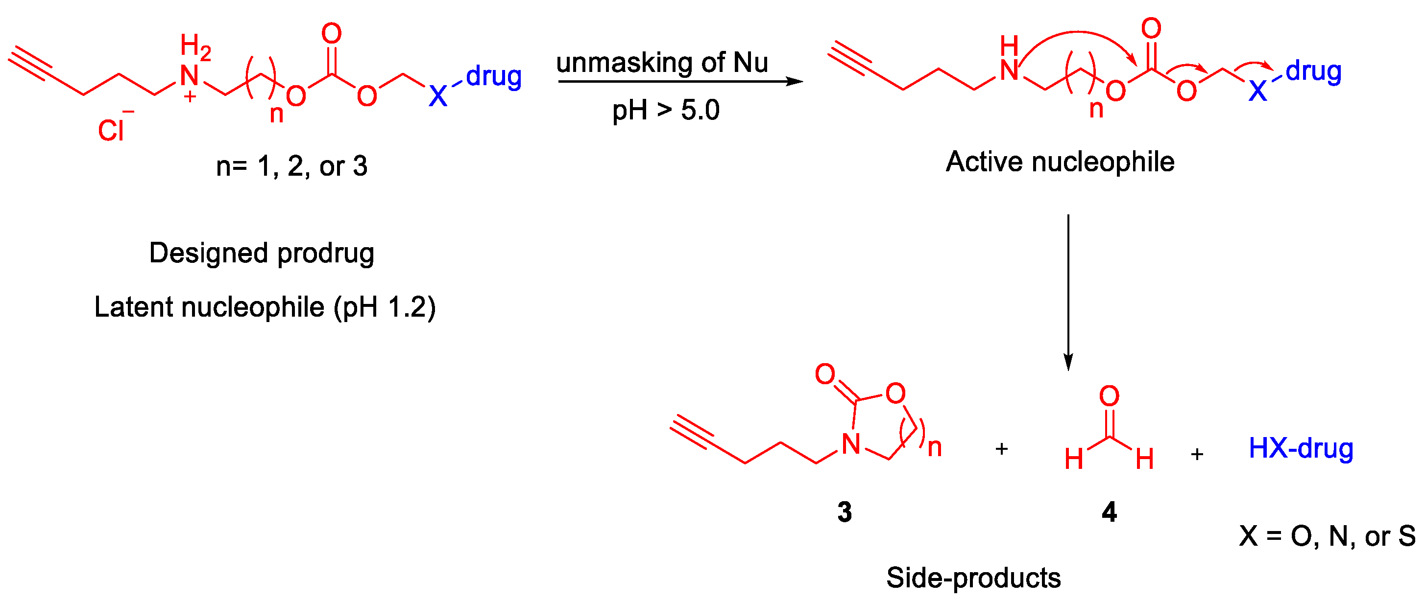 Pharmaceutics 15 00303 sch001 Pharmaceutics 15 00303 sch001