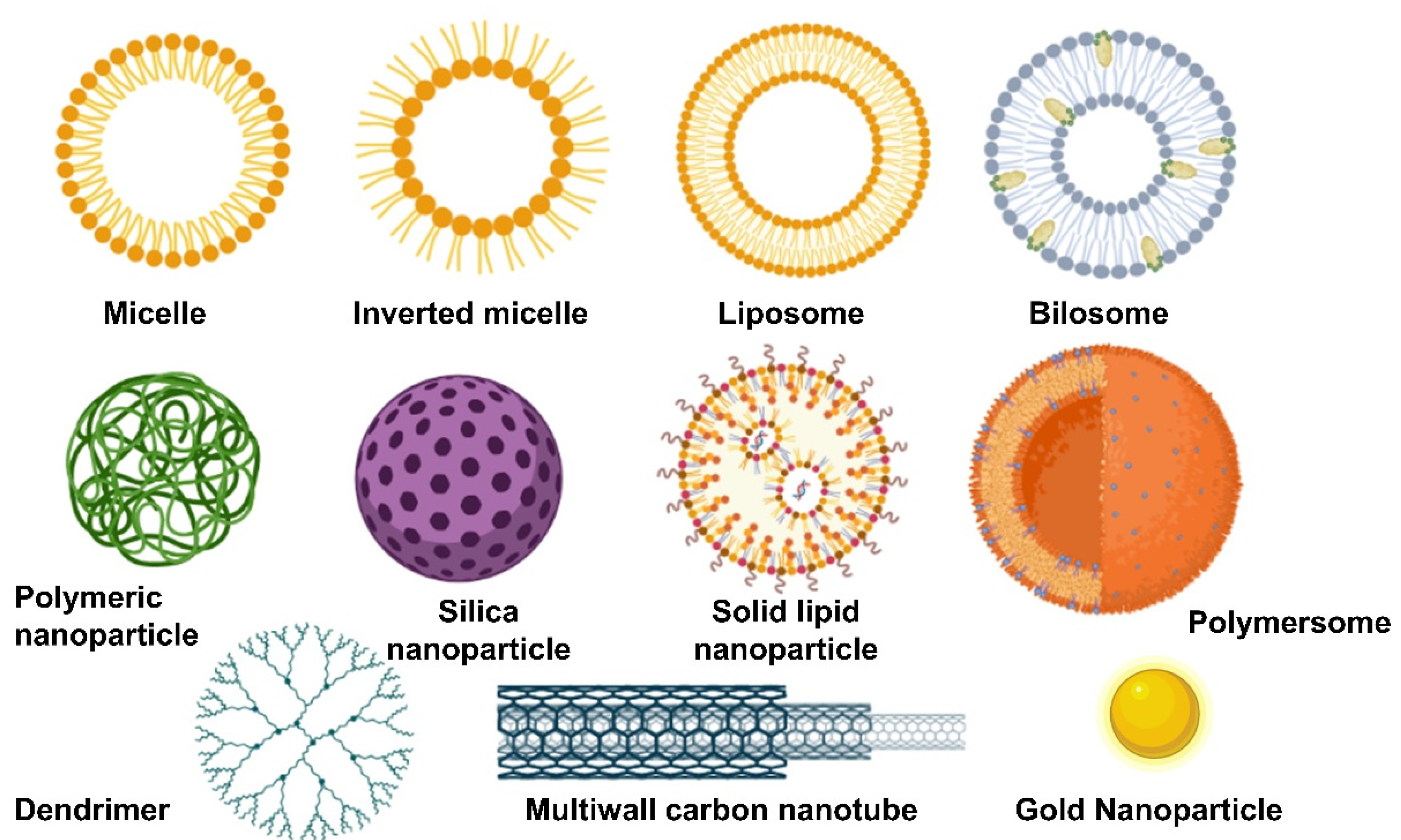 Pharmaceutics 15 00313 g007 Pharmaceutics 15 00313 g007