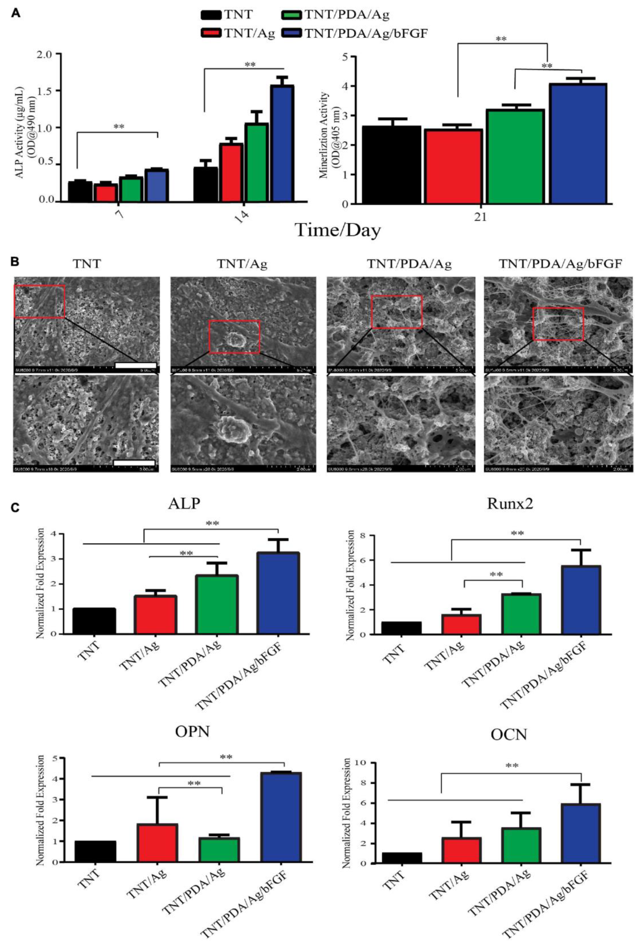 Pharmaceutics 15 00315 g009