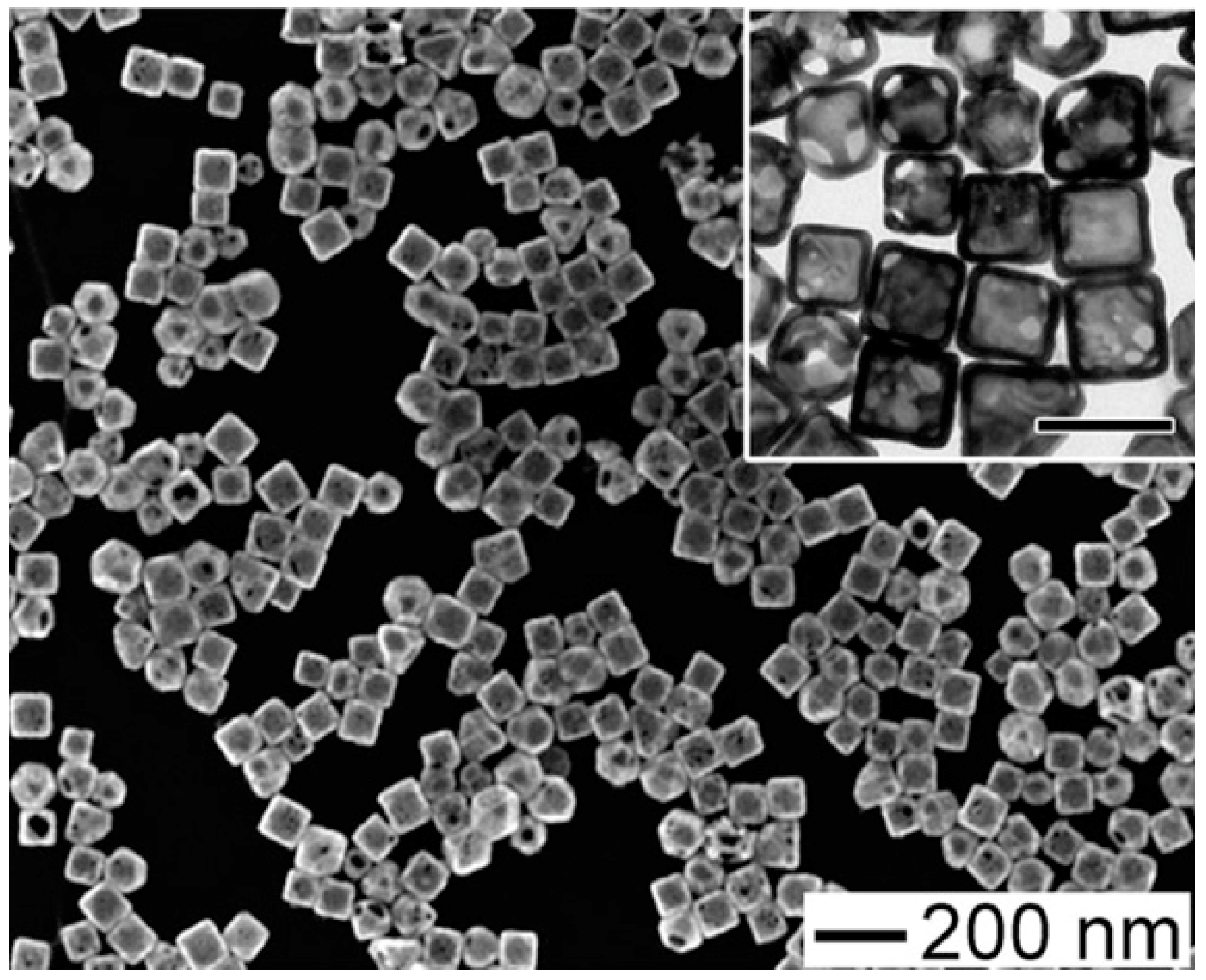 Pharmaceutics 15 00319 g004