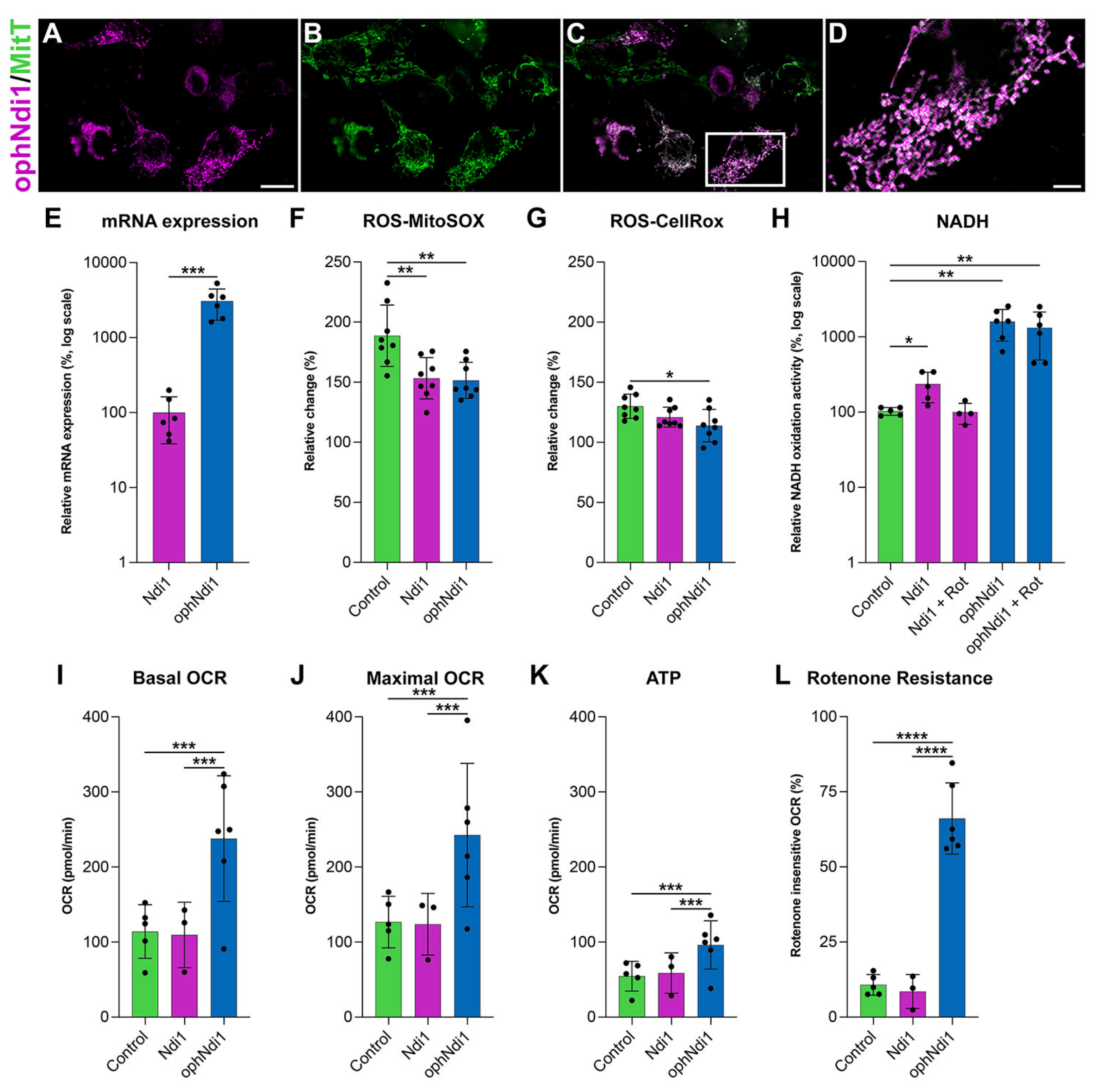 Pharmaceutics 15 00322 g001