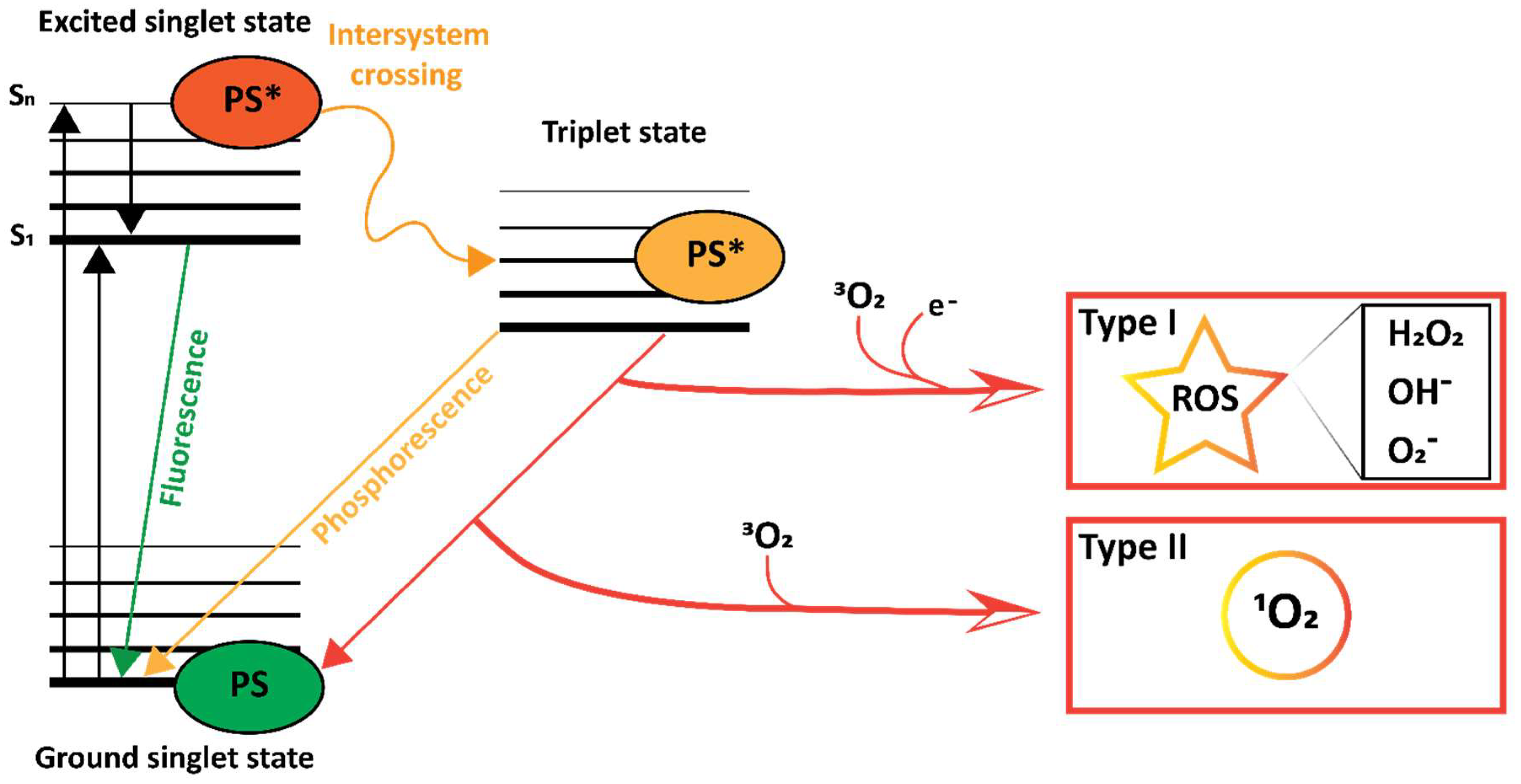 Pharmaceutics 15 00330 g002