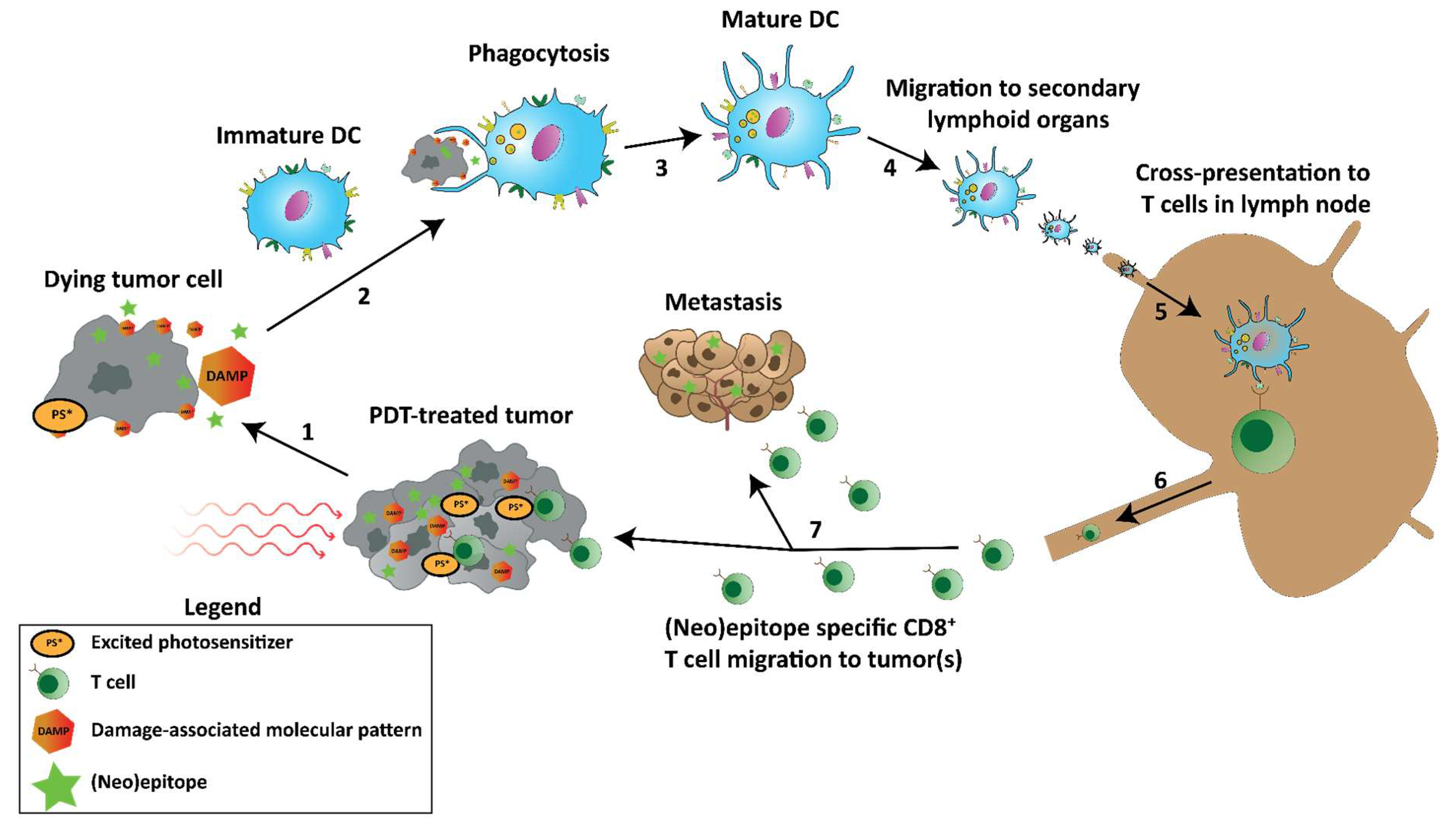 Pharmaceutics 15 00330 g004