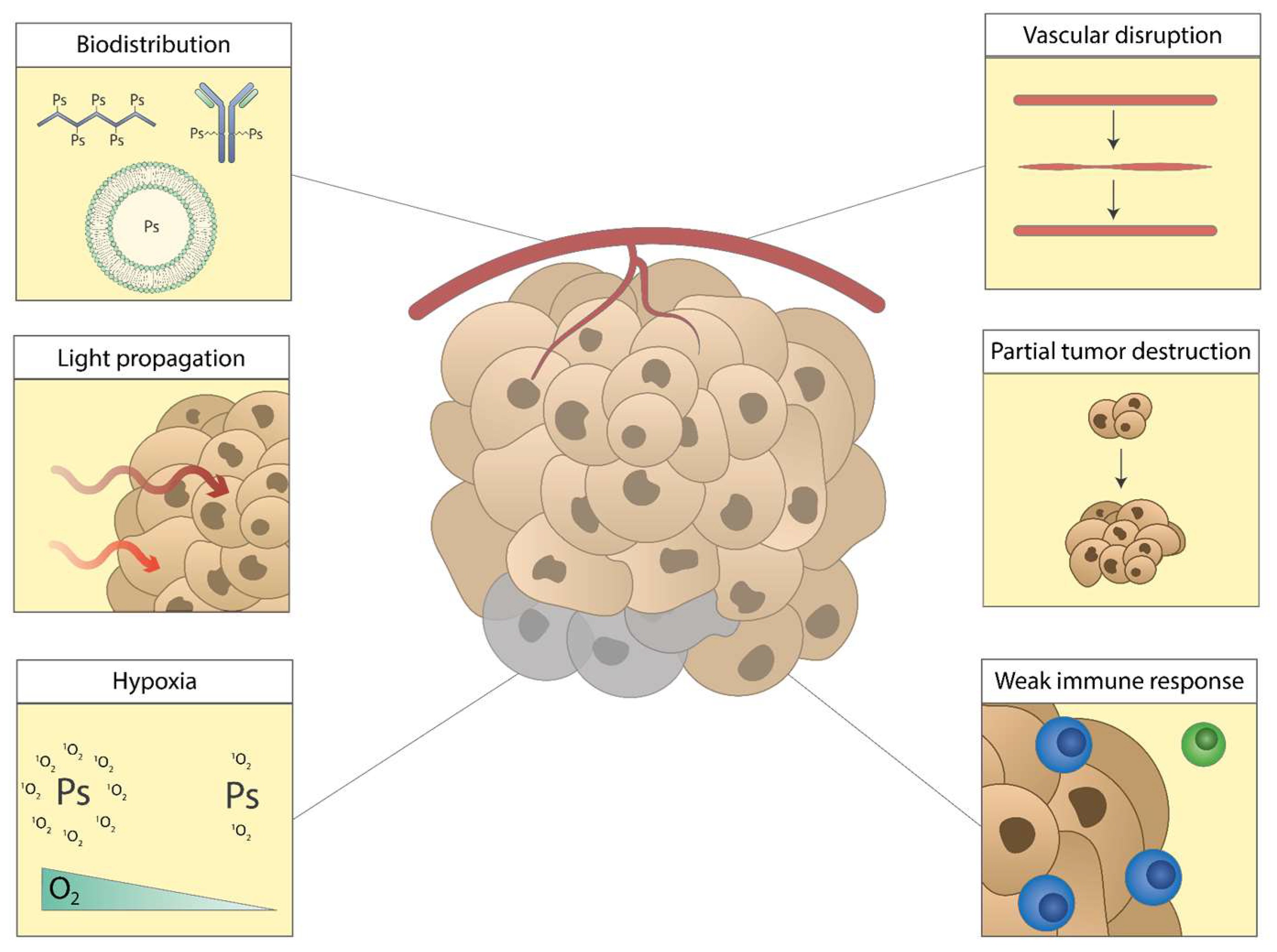 Pharmaceutics 15 00330 g005