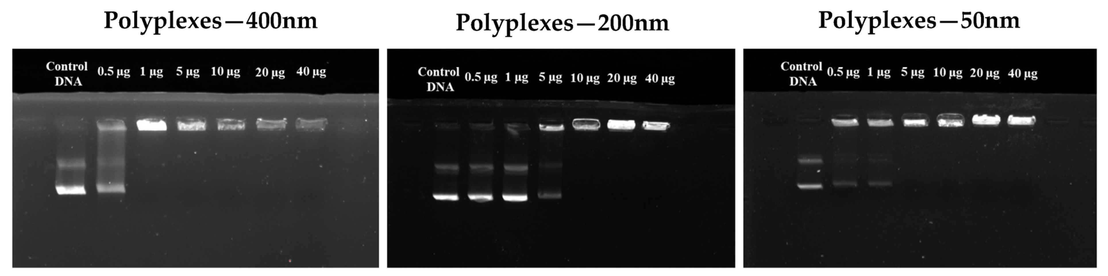 Pharmaceutics 15 00332 g005 Pharmaceutics 15 00332 g005