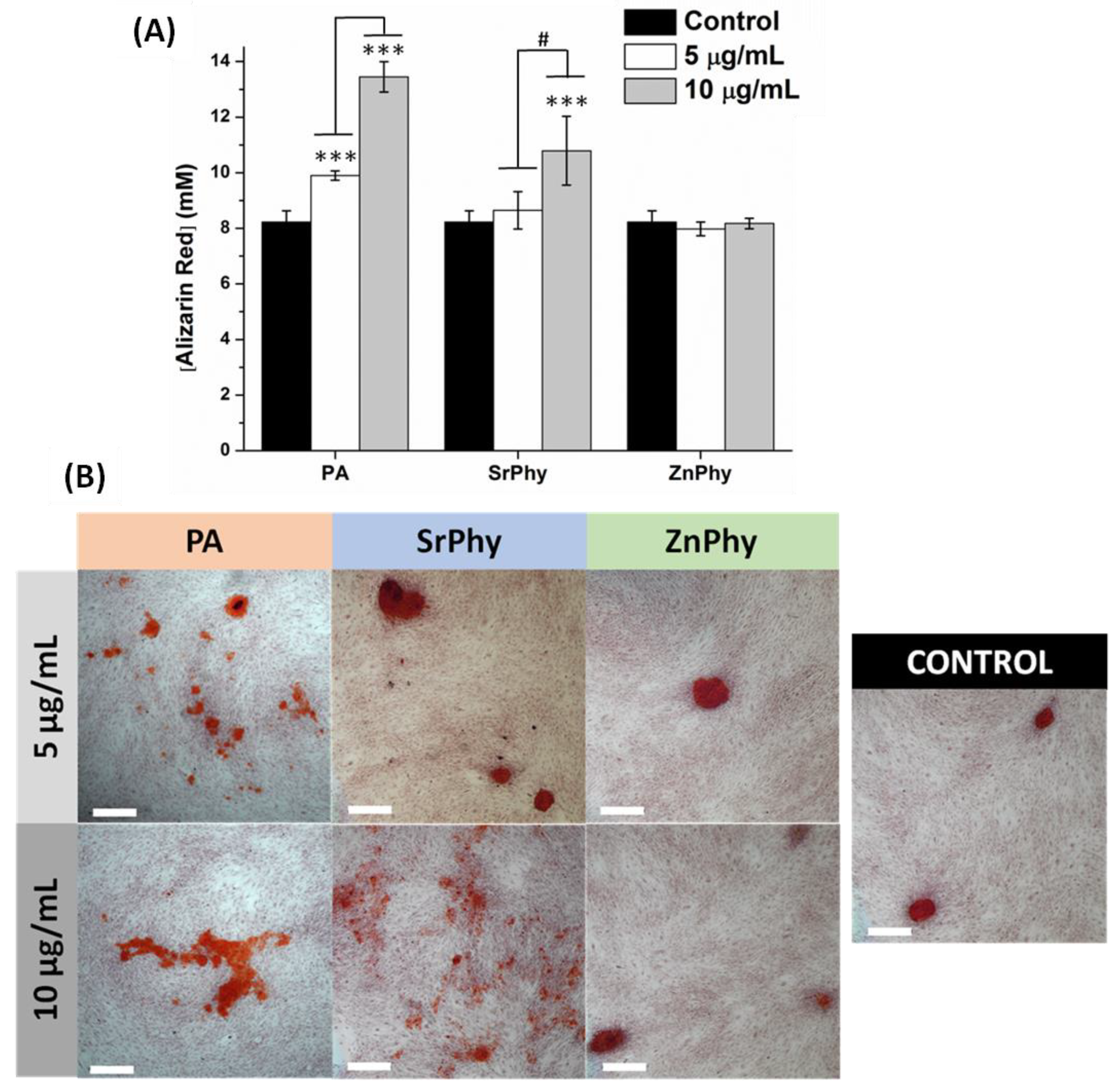 Pharmaceutics 15 00339 g008