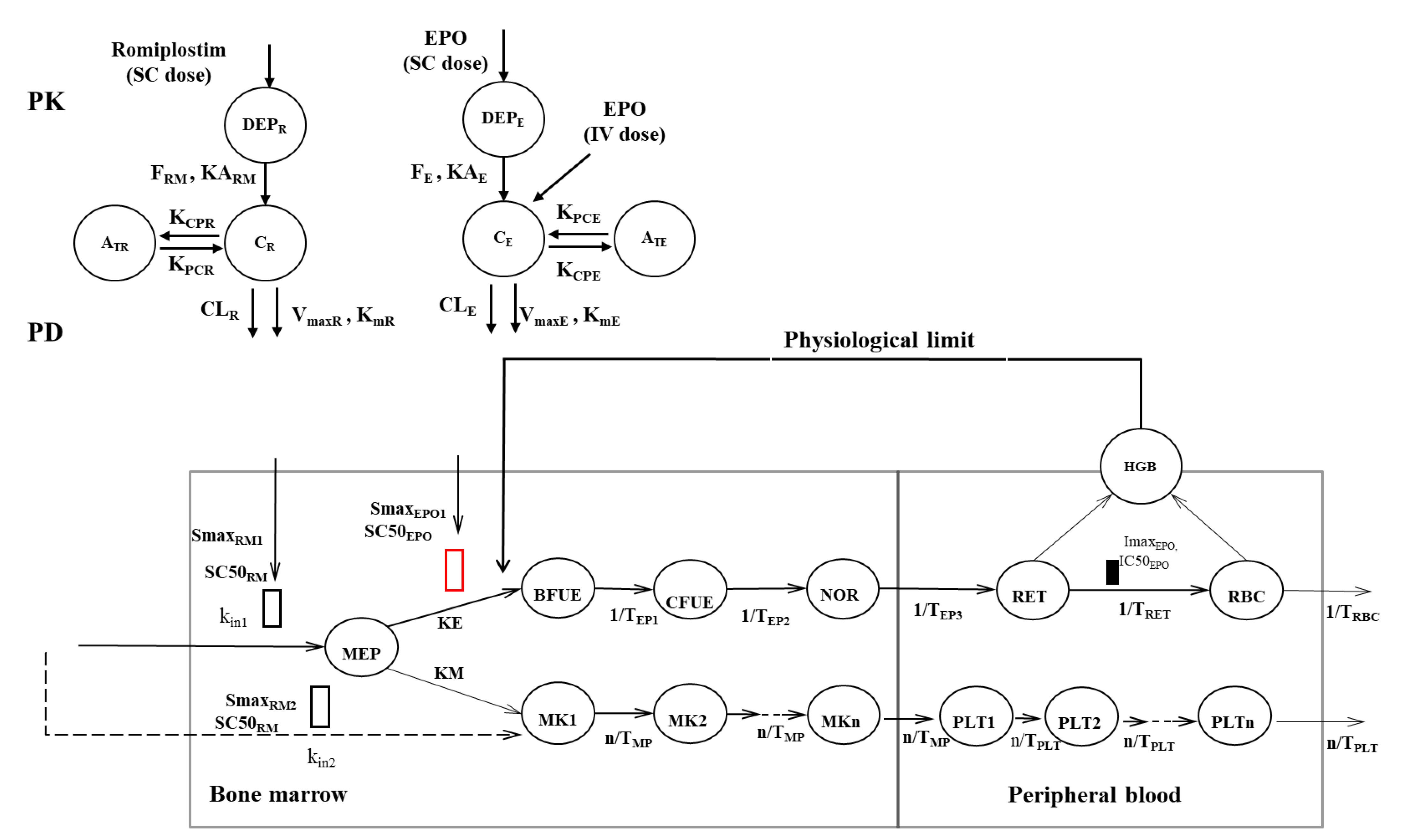 Pharmaceutics 15 00344 g001