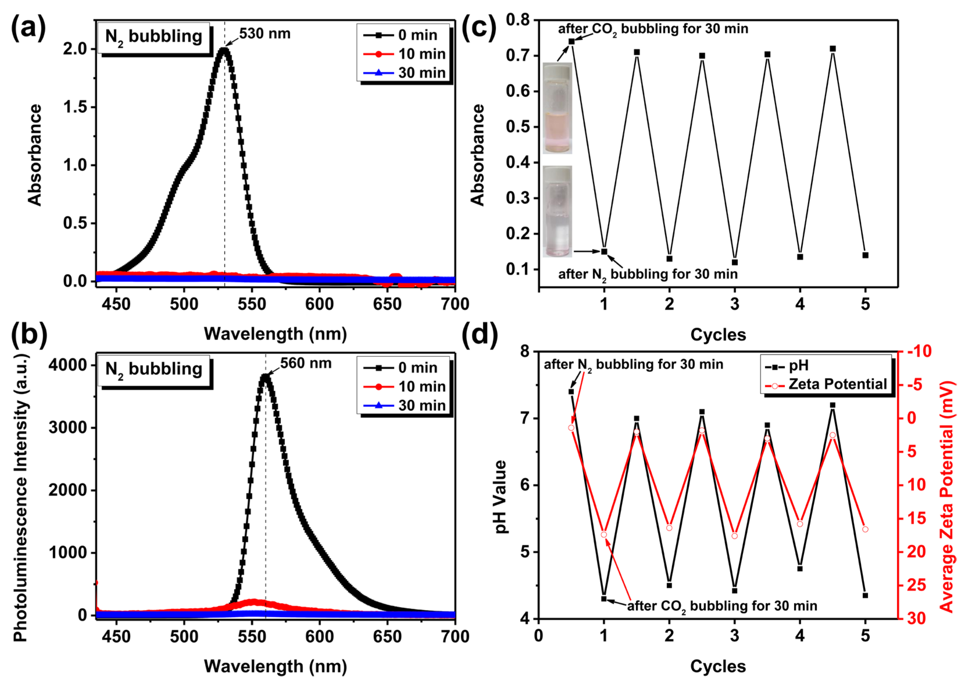 Pharmaceutics 15 00354 g003