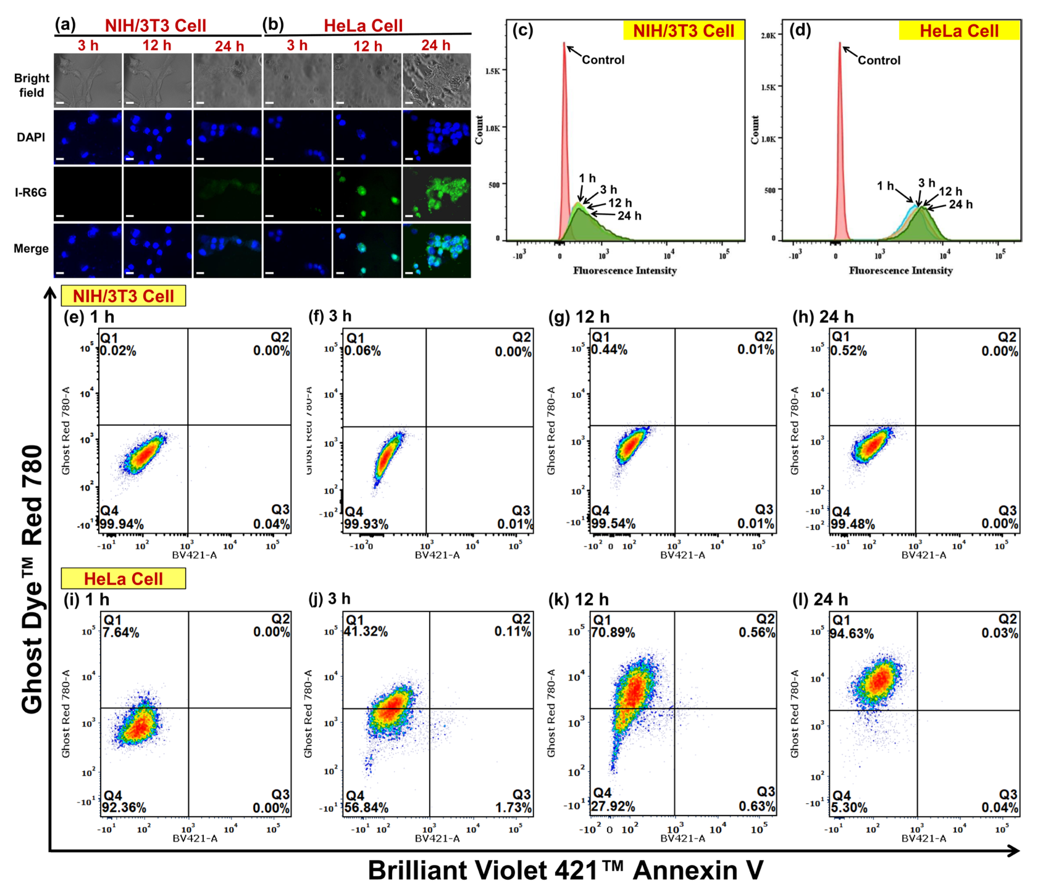 Pharmaceutics 15 00354 g005