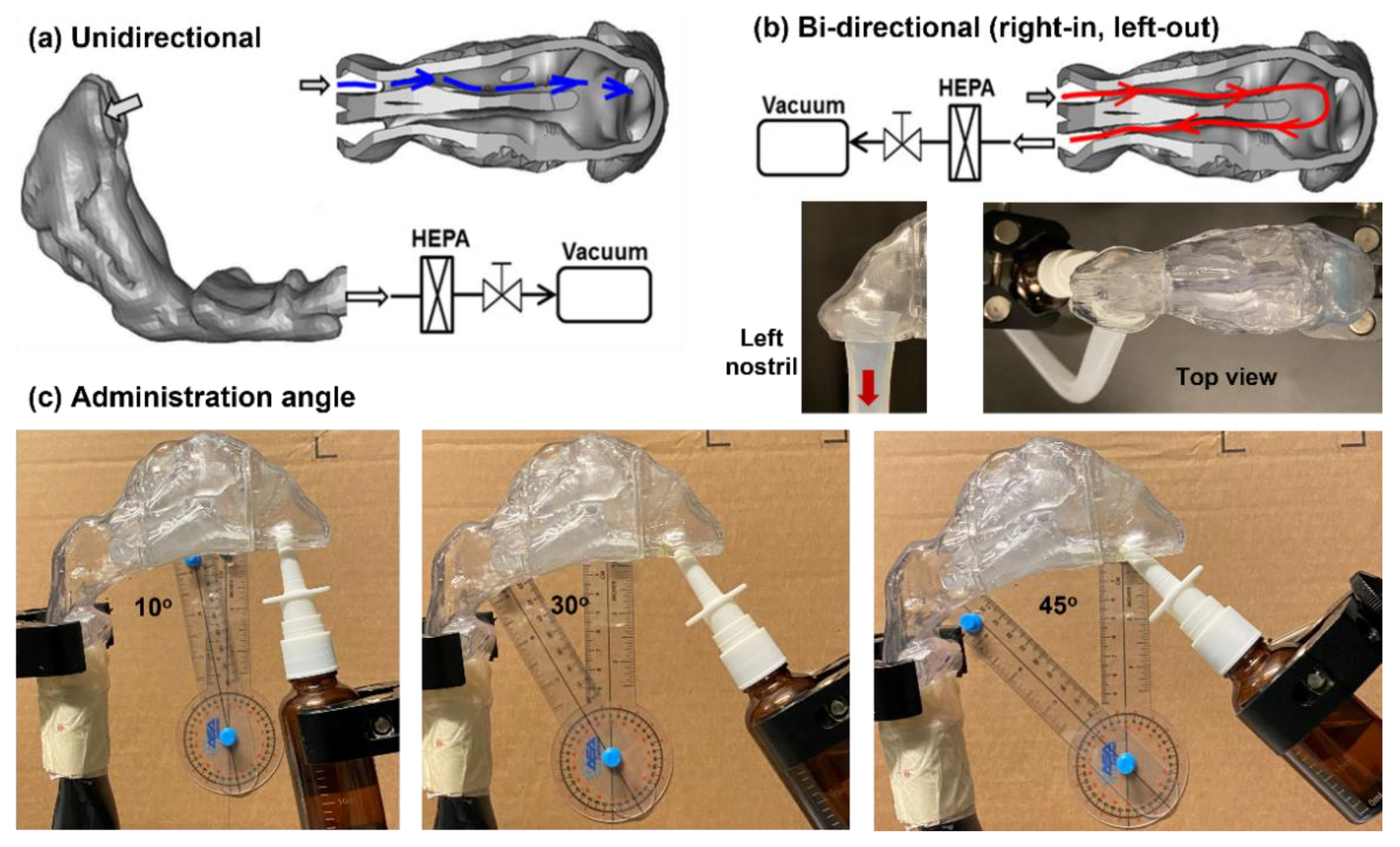 Pharmaceutics 15 00359 g001